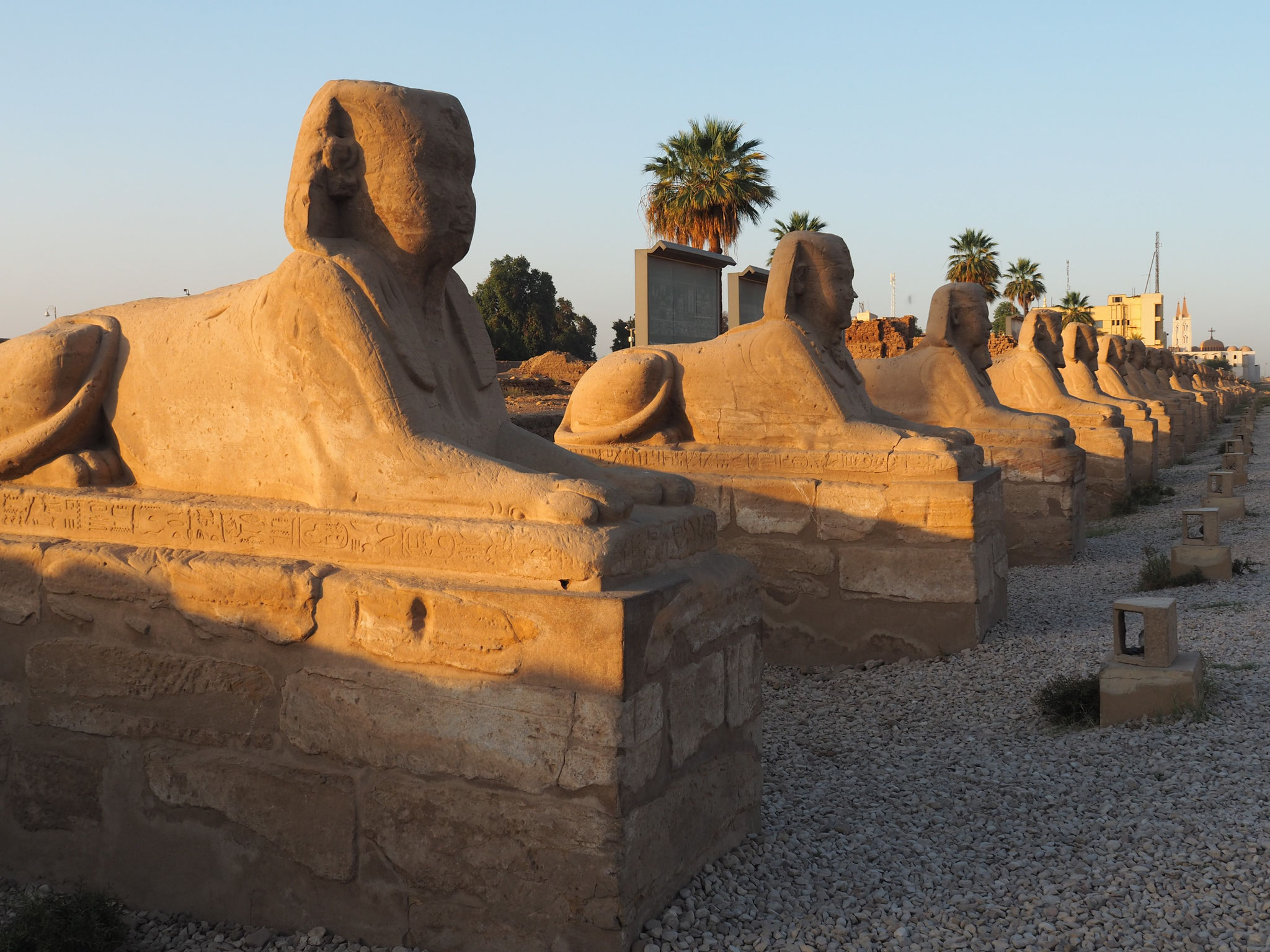 Sphingenallee in Richtung der Tempelanlage von Karnak
