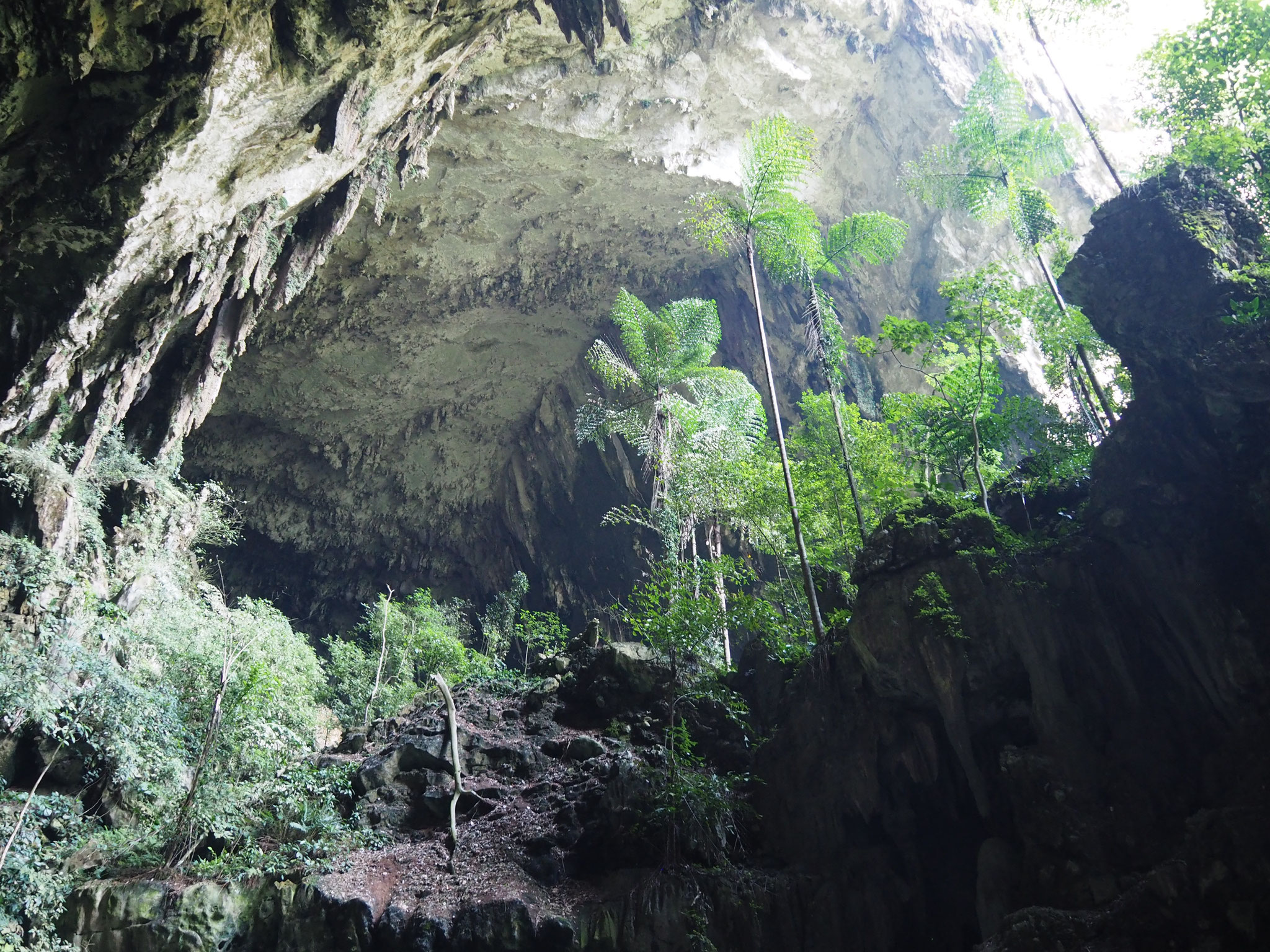 Eingang zur Deer Cave