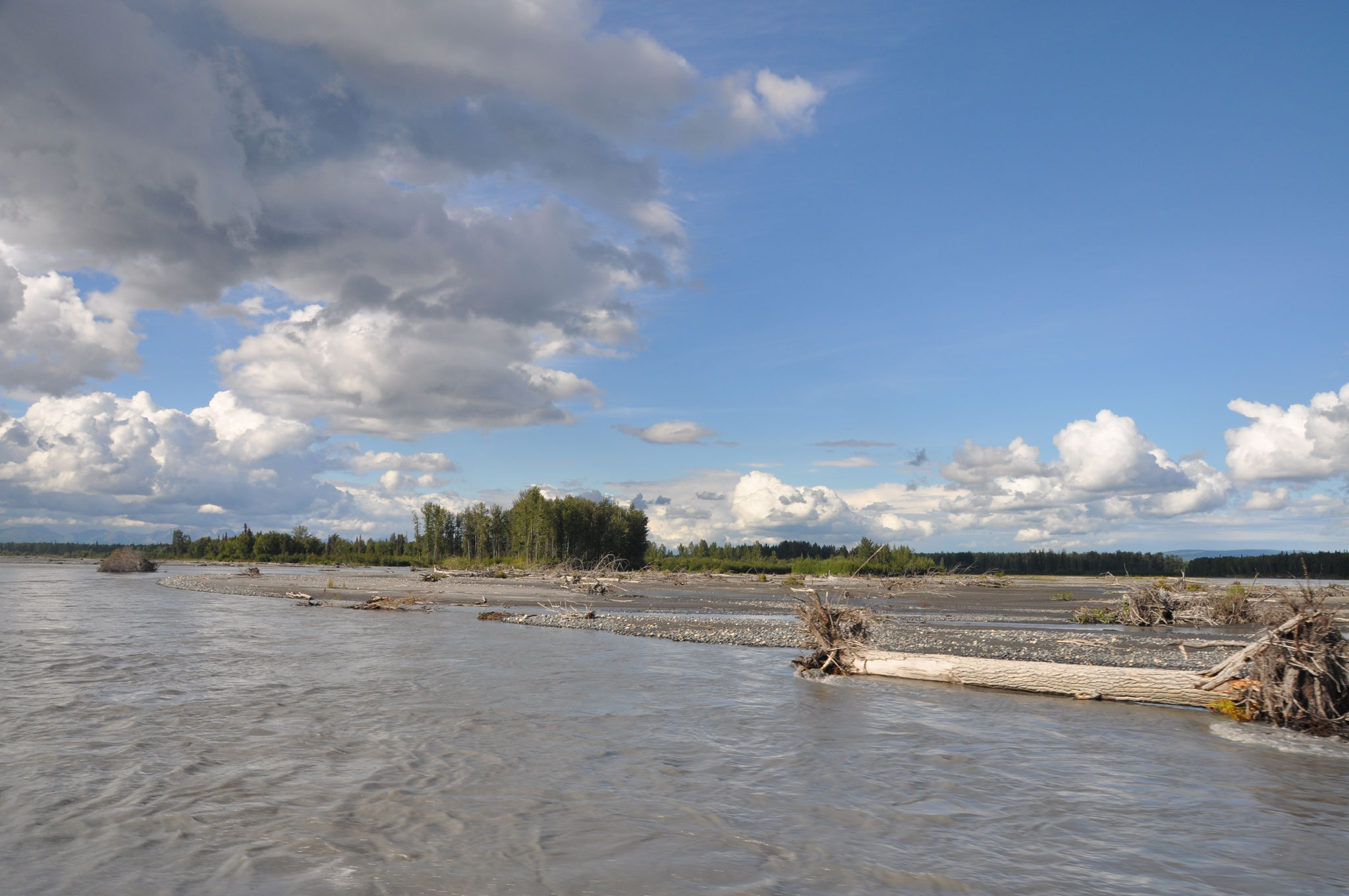 ... zurück nach Talkeetna