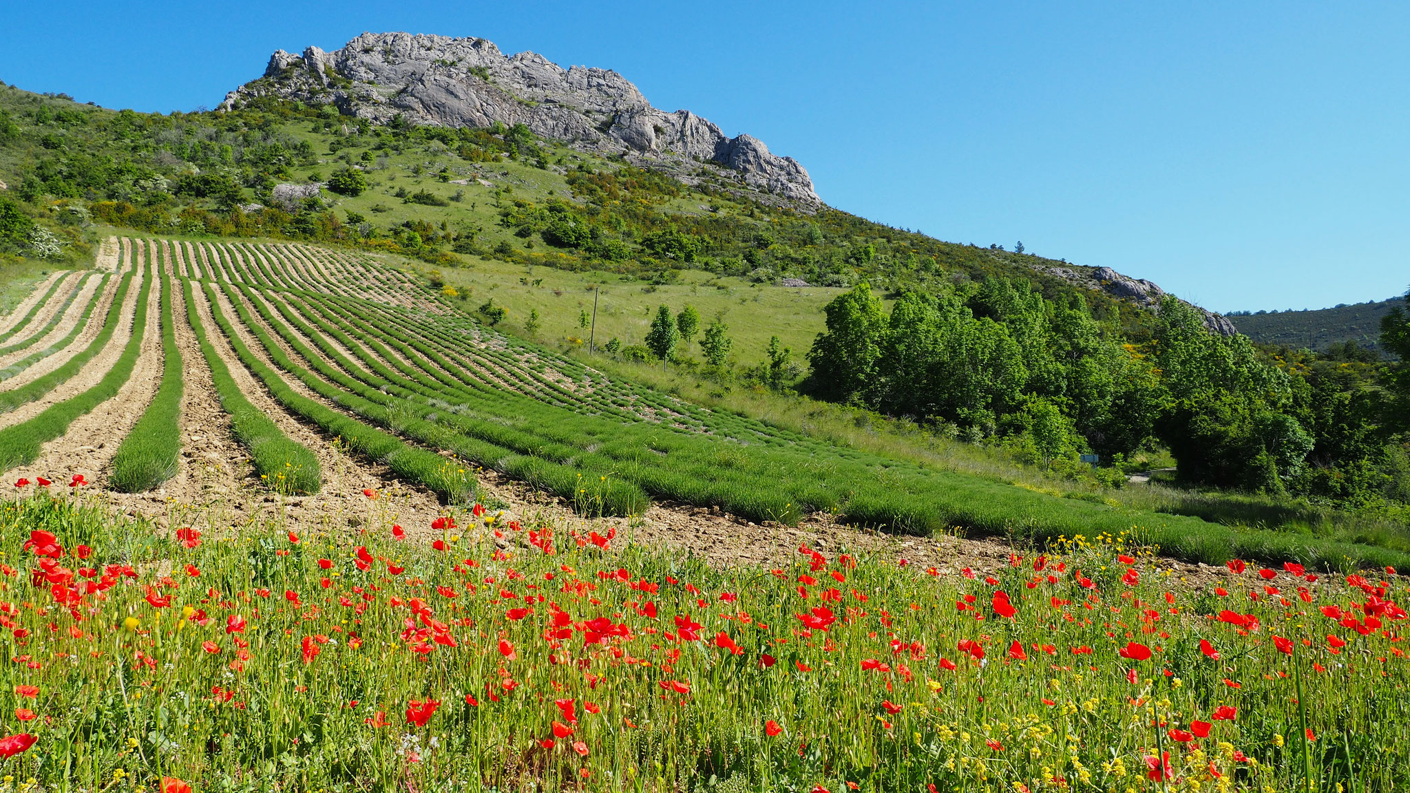 Izon Nature : hébergements et table d'hôtes insolites et écoresponsables dans la Drôme provençale, trek dans la Méouge