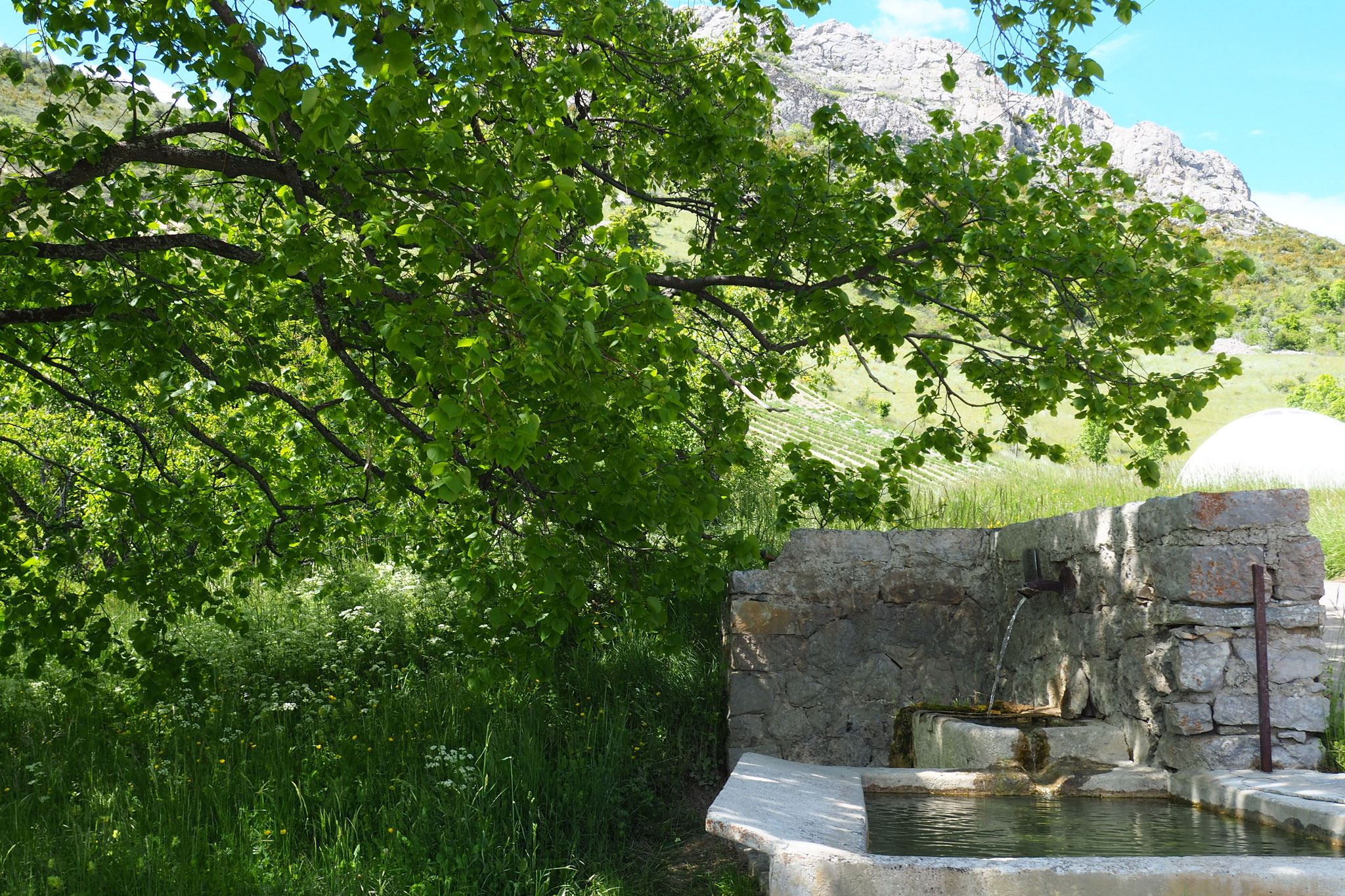 La fontaine d'Izon. Izon Nature : hébergements, chambres et table d'hôtes insolites et écoresponsables dans la Drôme provençale, trek dans la Méouge