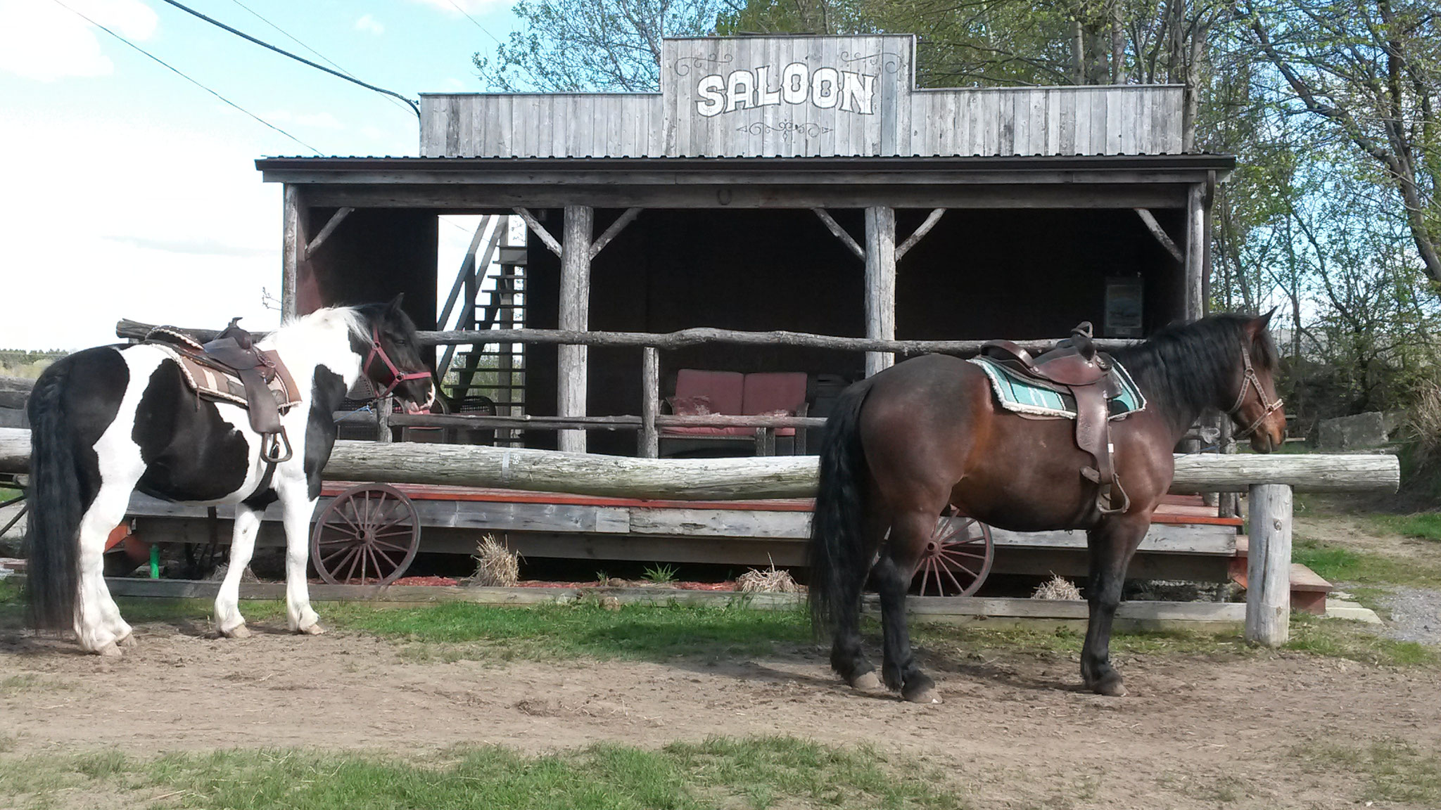 Saloon - Aire d'accueil
