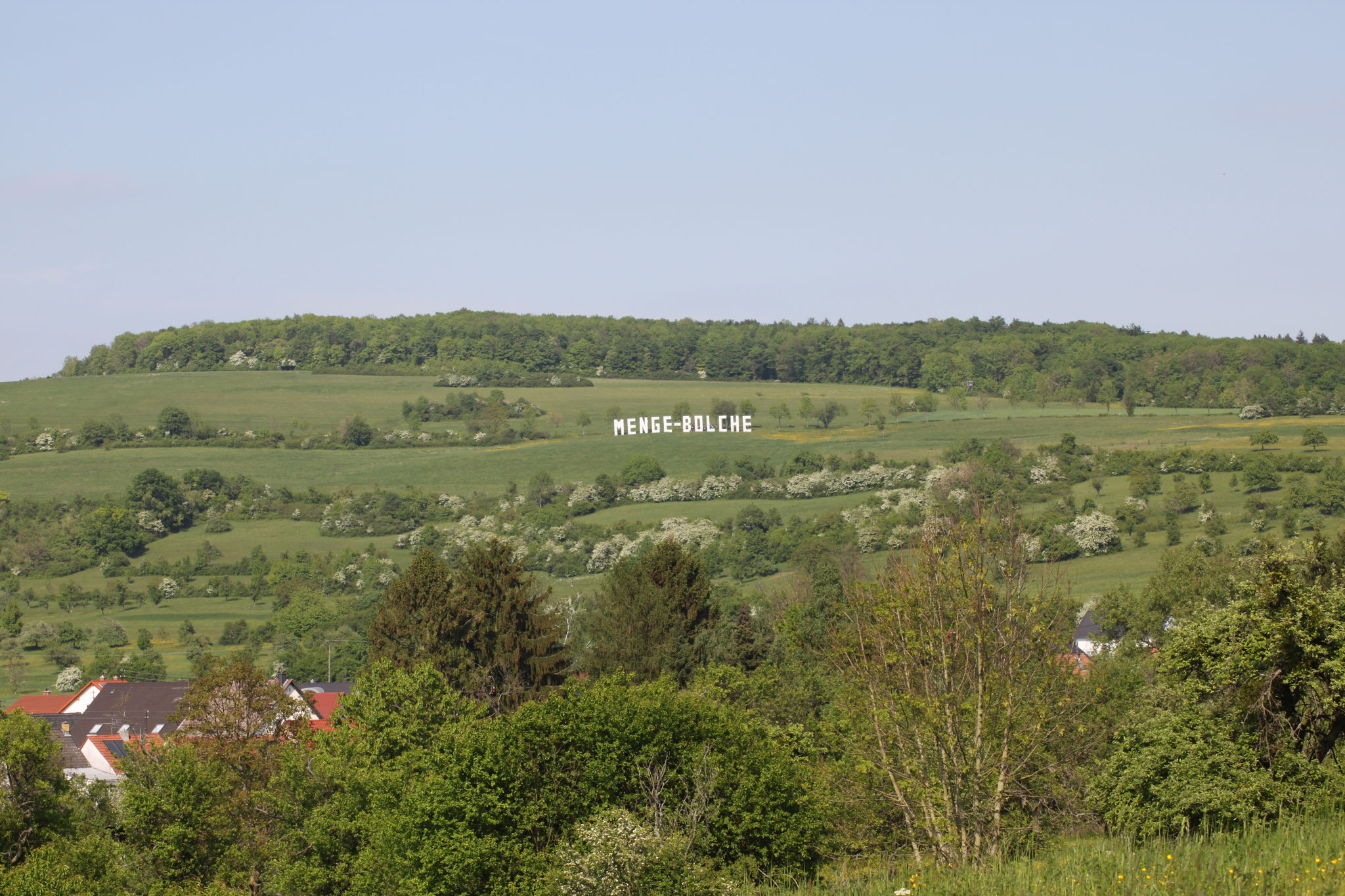 Hexennacht 2011: "Hollywood-Schriftzug"
