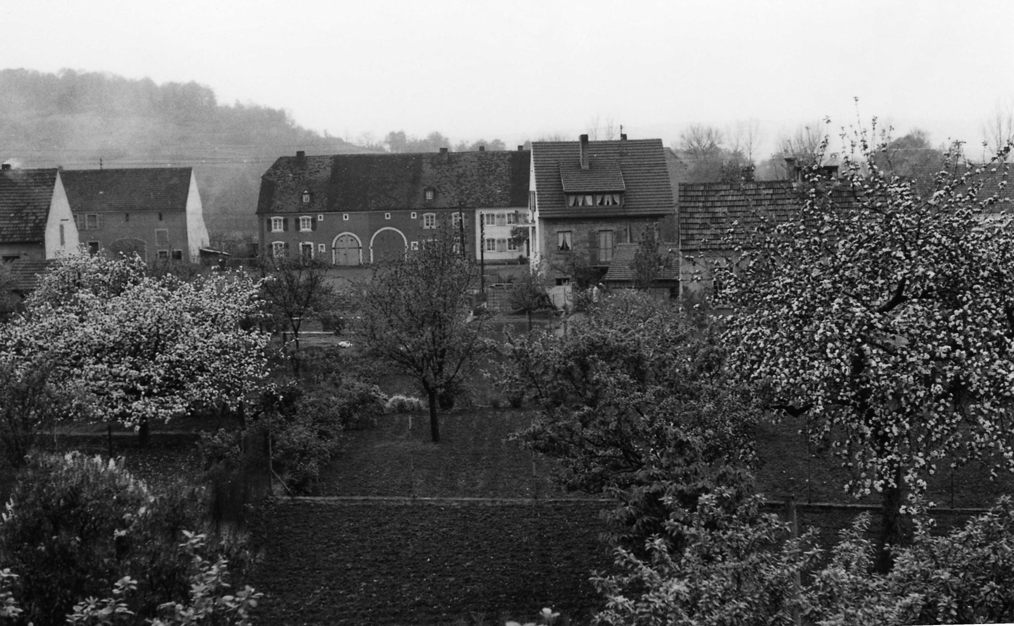Blick von der Kettelerstraße zur heutigen Bliestalstraße