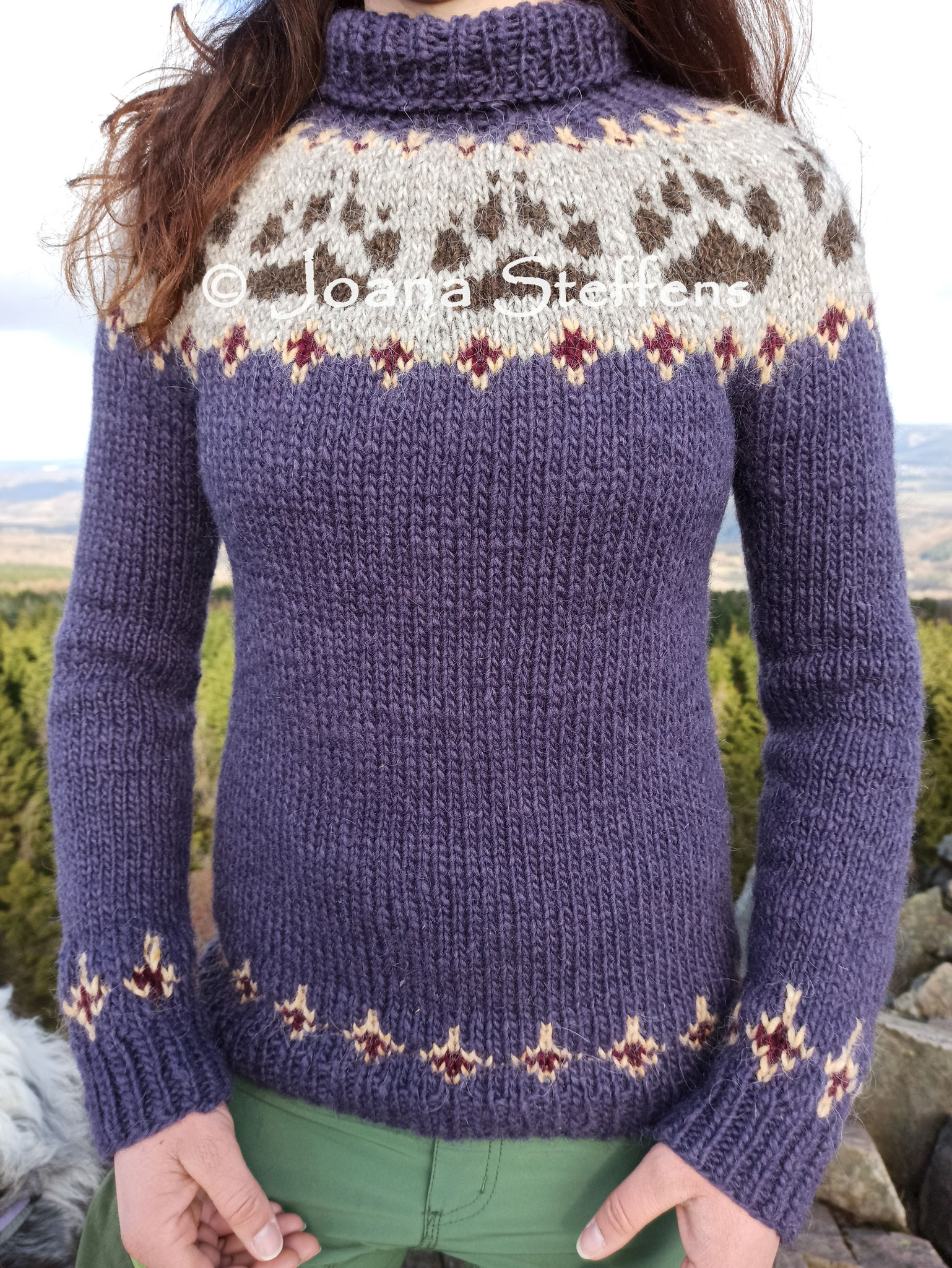 Islandpullover Bär