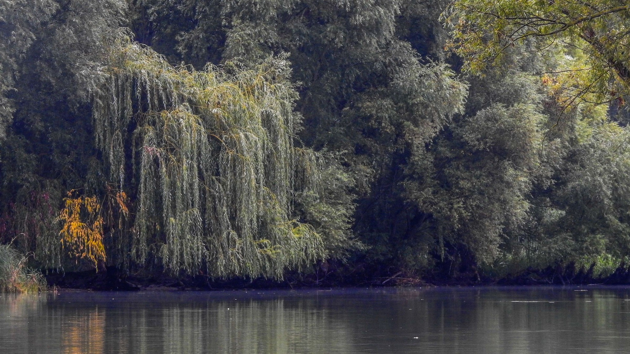 AOC Herbsttreffen Mosoni Donau