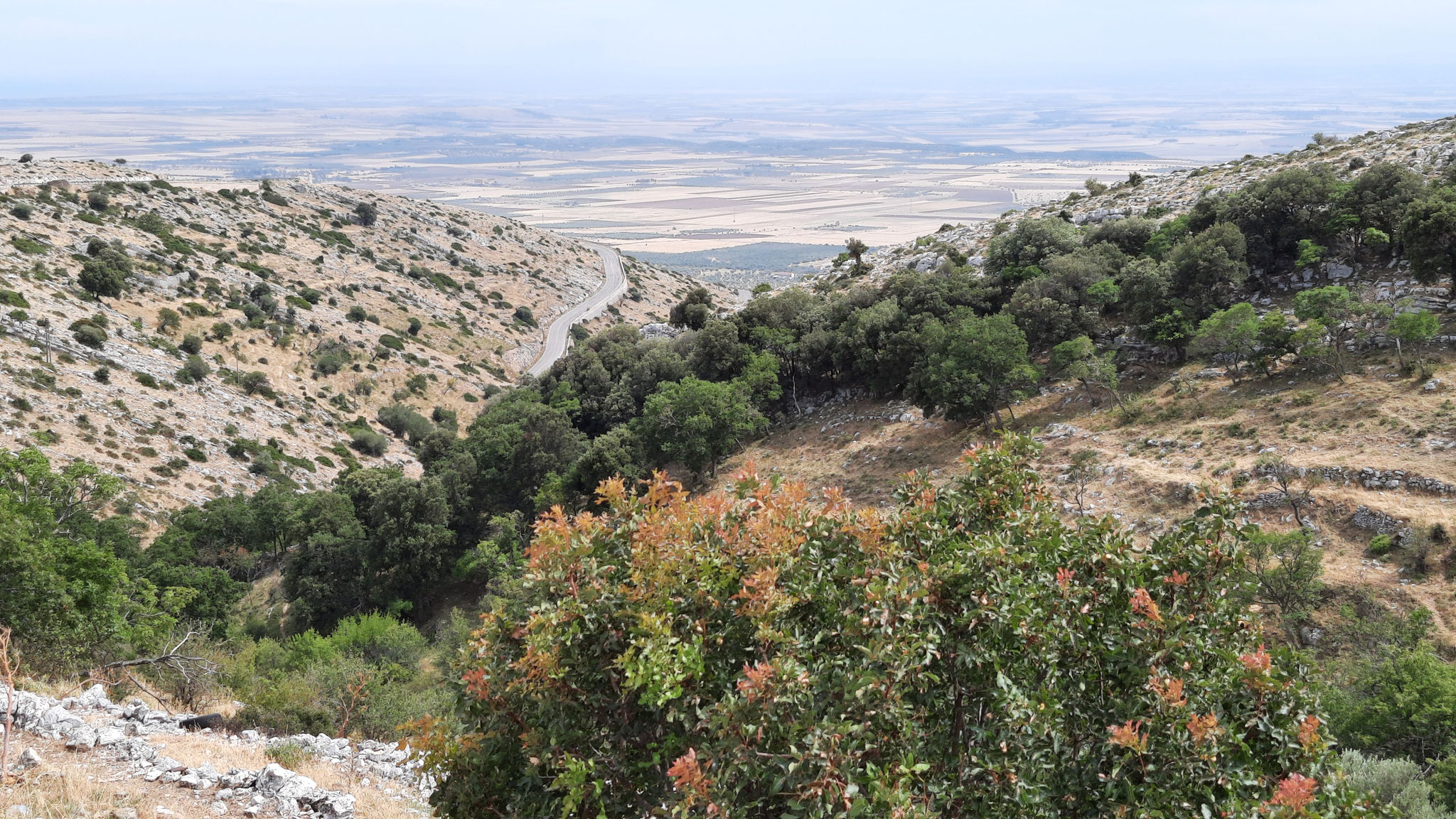 Blick vom Gargano zurück in die Ebene