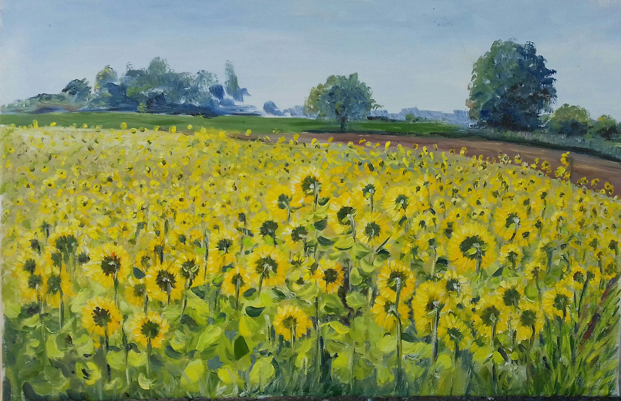 Sonnenblumen  40 x 60 Öl 420,-