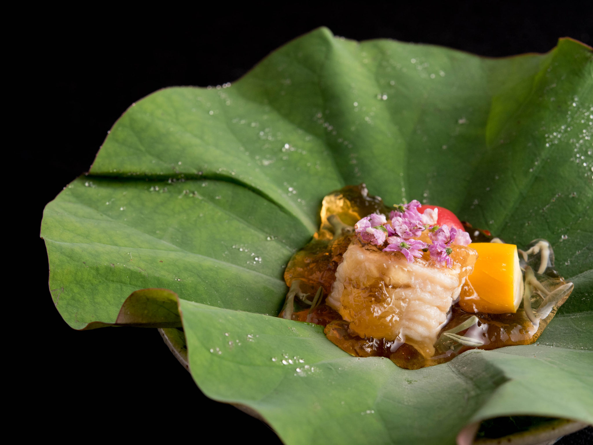 ご挨拶 - 和料理・蓮花寺 さいとう