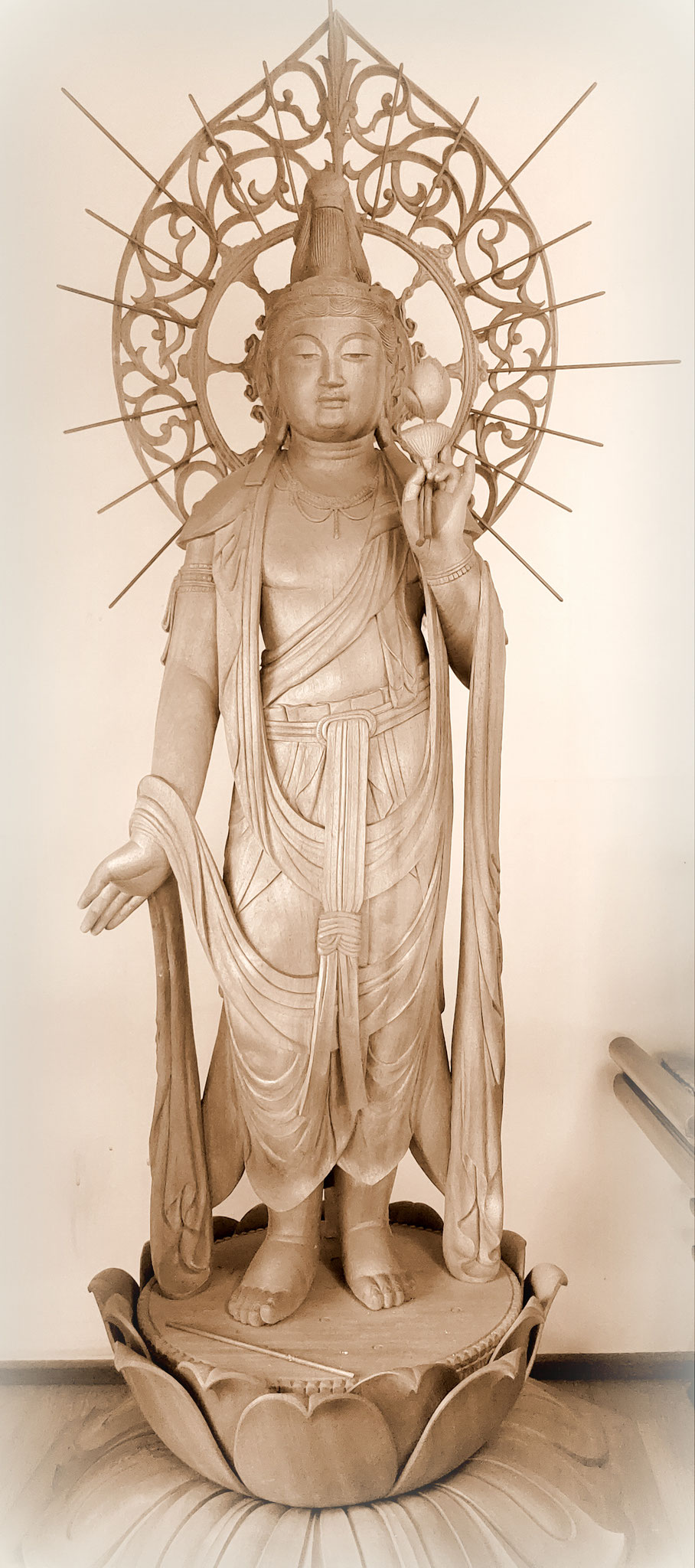 師 匠 ： 馬 渕 憲 峰 （ 無名塾 主宰 ） ( Mabuchi Kenpou