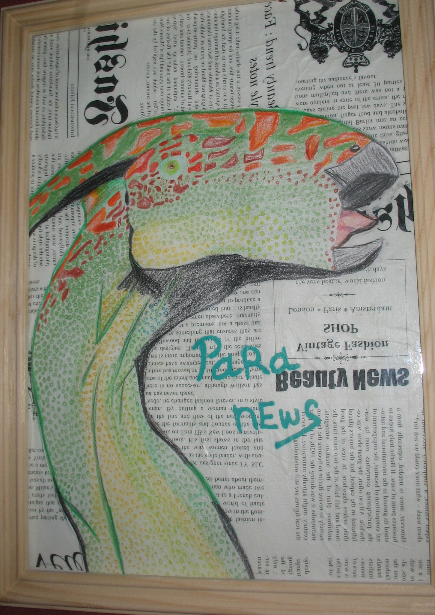 Para News (Collage: Aquarellstifte auf Decoupage)