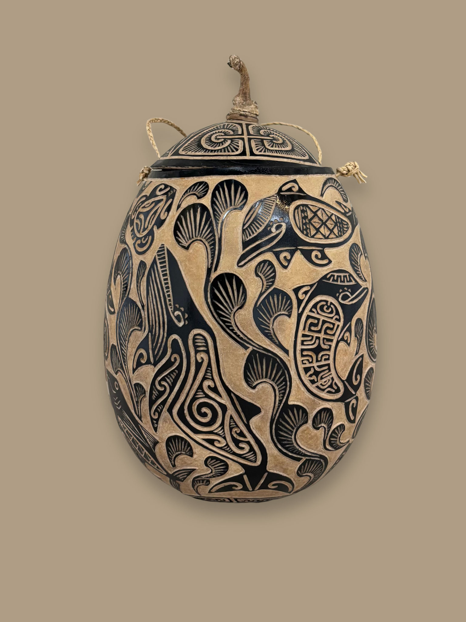 N°3884 MILI Calebasse de la mer teintée Calebasse gravée H24 