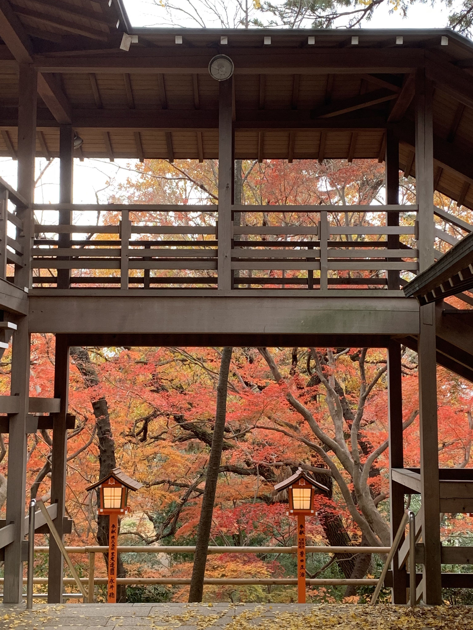 Todoroki Ravine Park