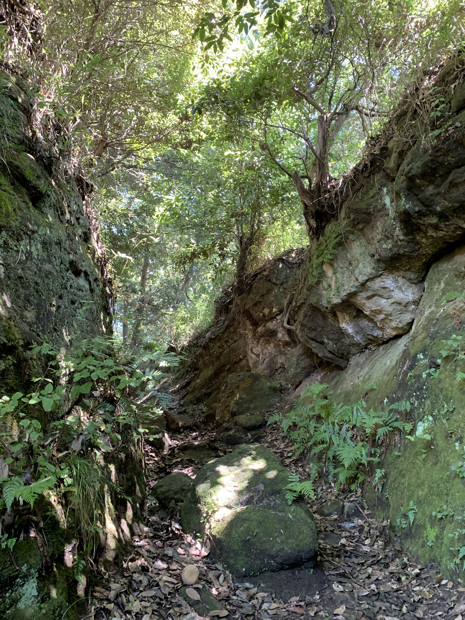 Old road built in 13 C