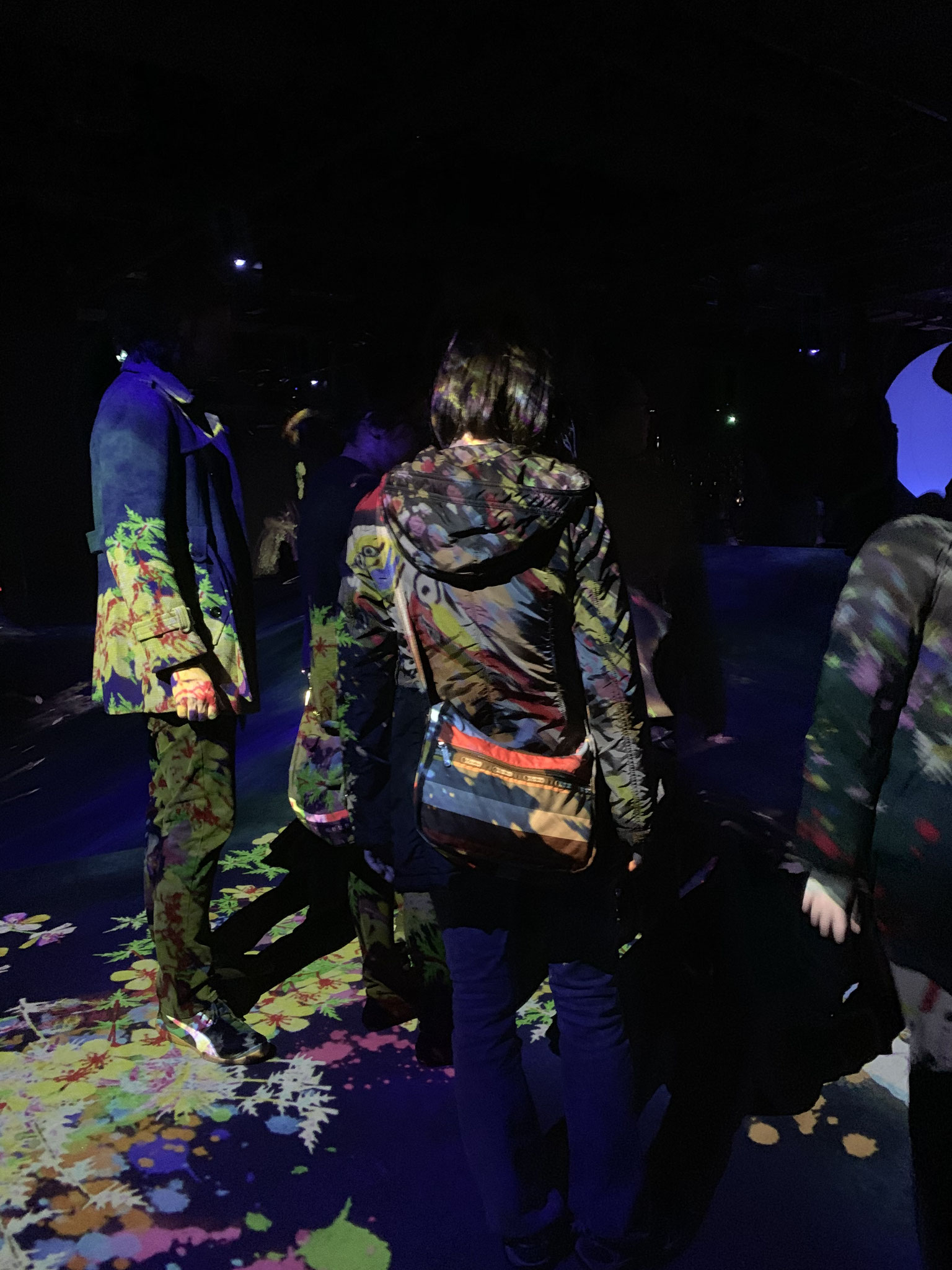 Teamlab Planets Daiba