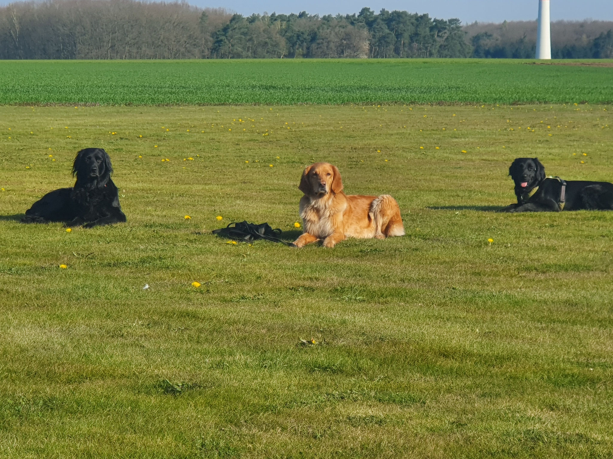 Besuch bei der fick freudigen Oma Besuch bei der fick freudigen Oma