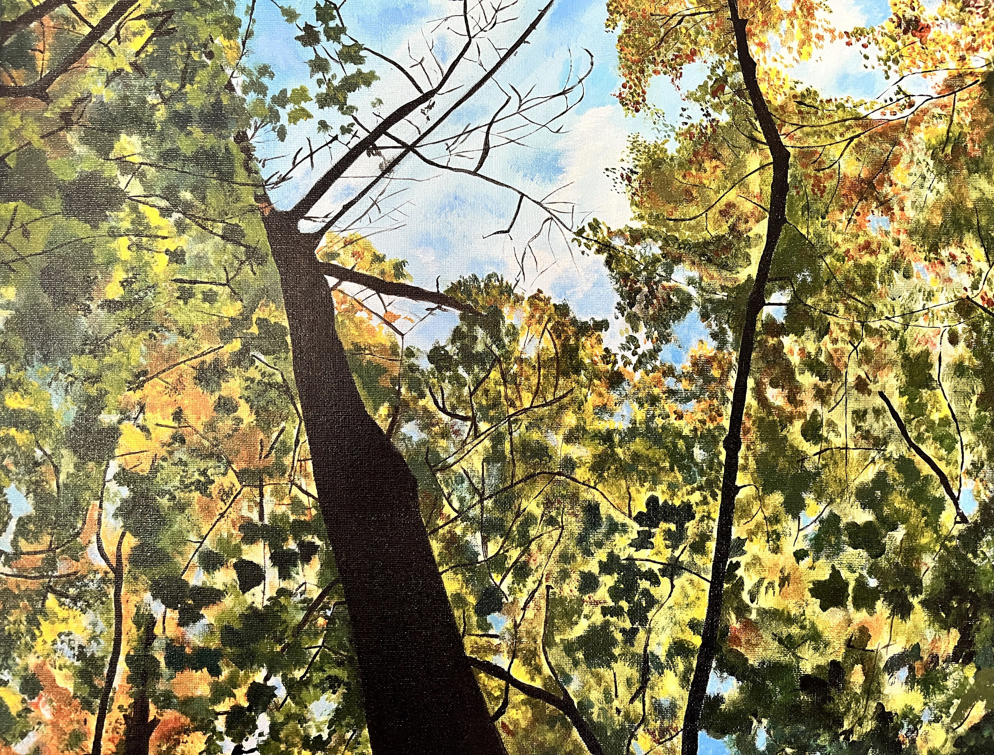 BENEATH THE TREES 16 x 20 acrylic 