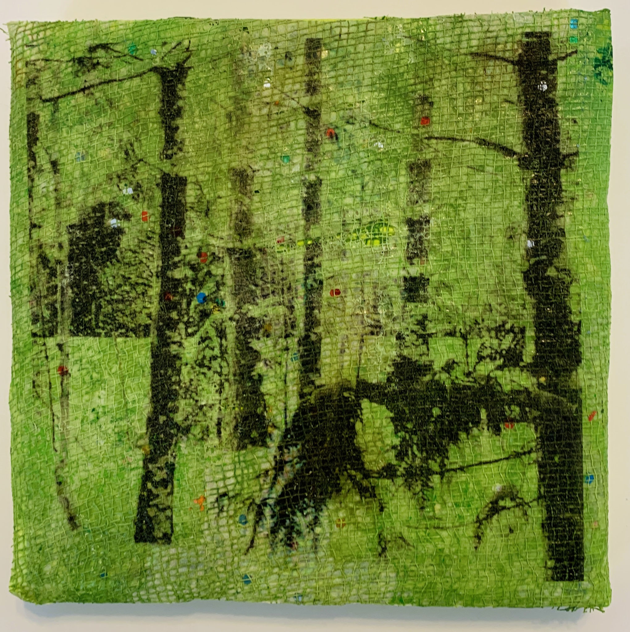 WALK IN THE WOODS 5 x 5  Fibre mixed media 