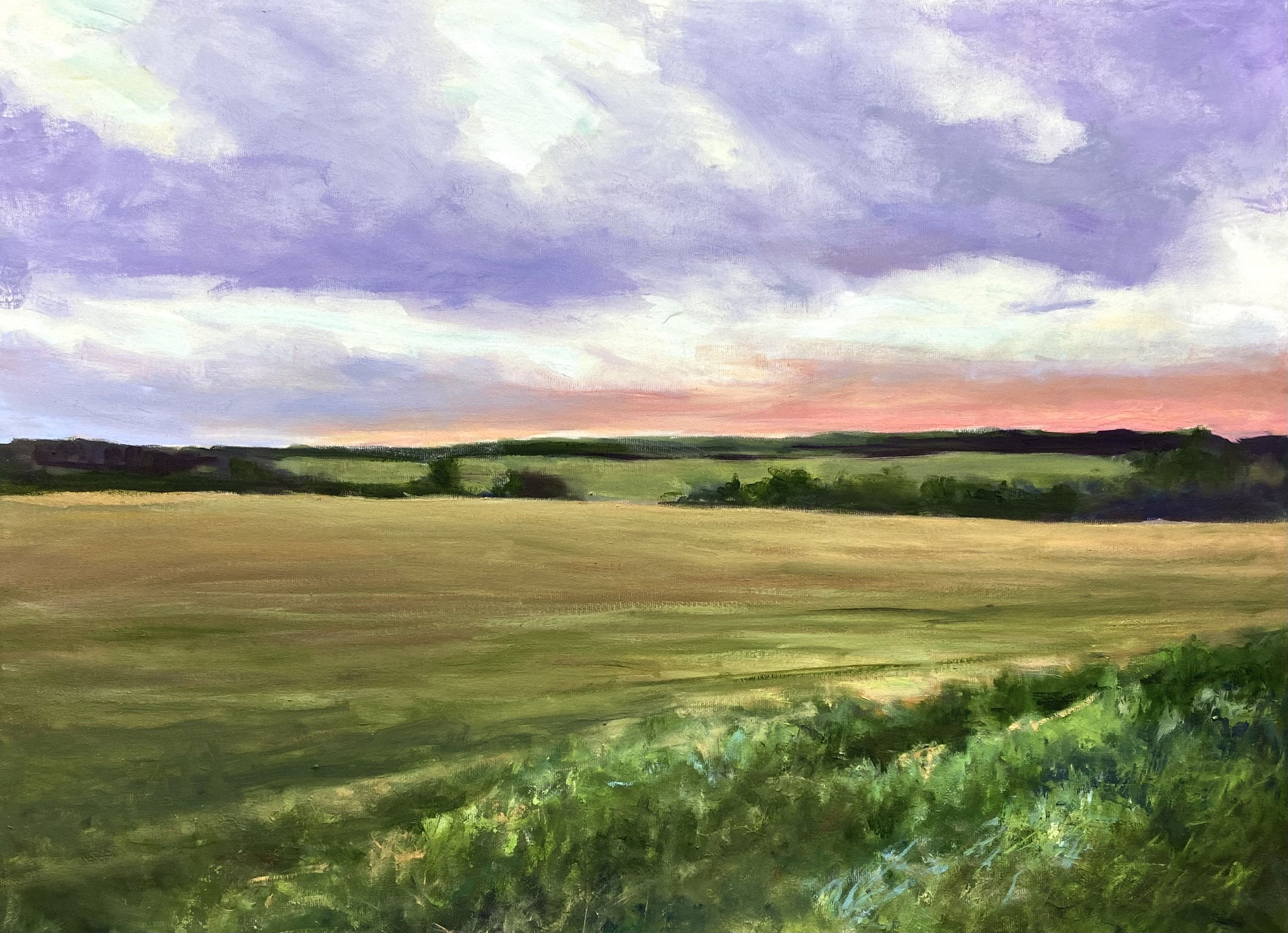FIELD OF GOLD 18 x 24 oil 