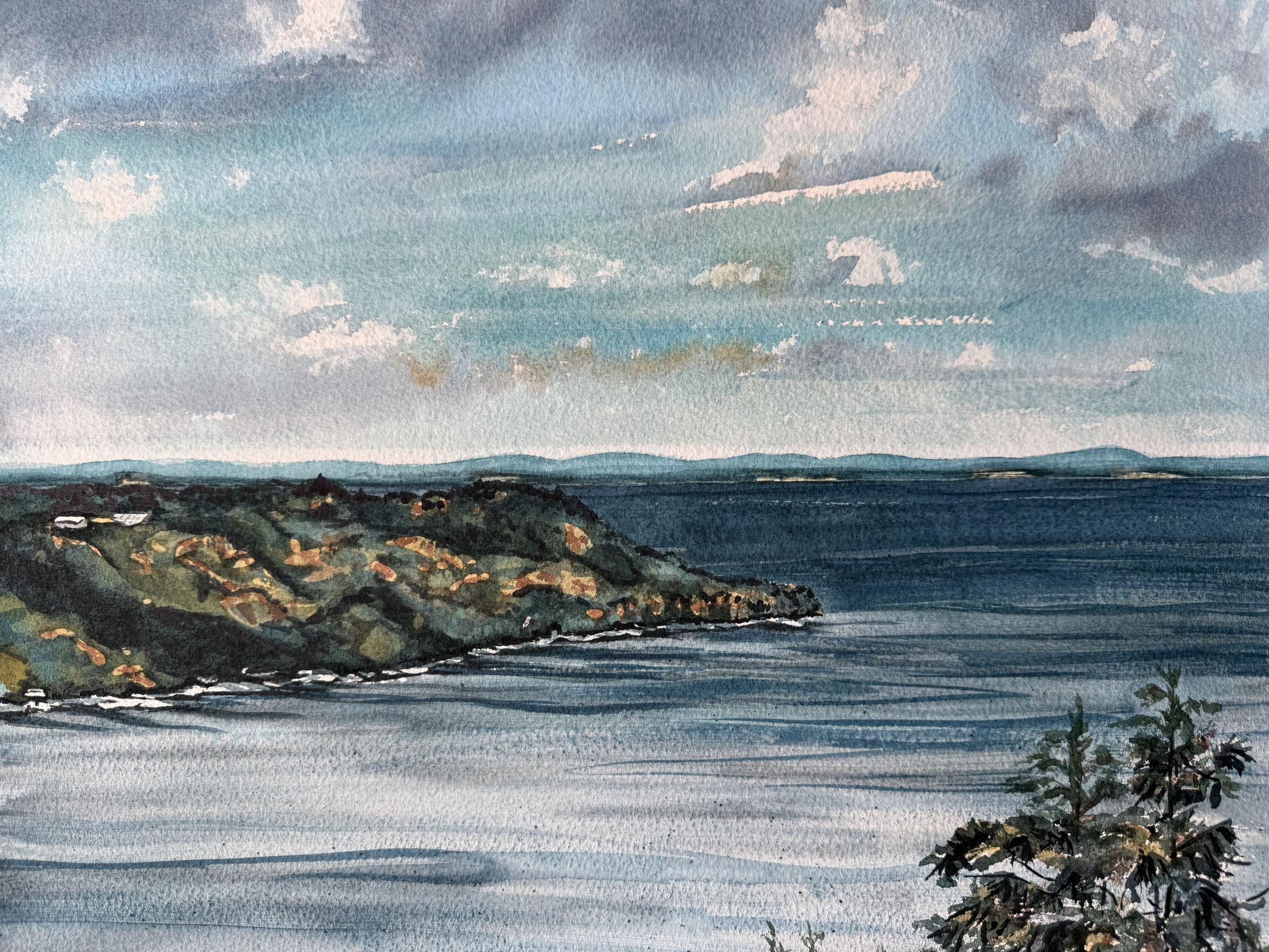 SKYVIEW 12 x 15.5 watercolour by Lisa Robbins