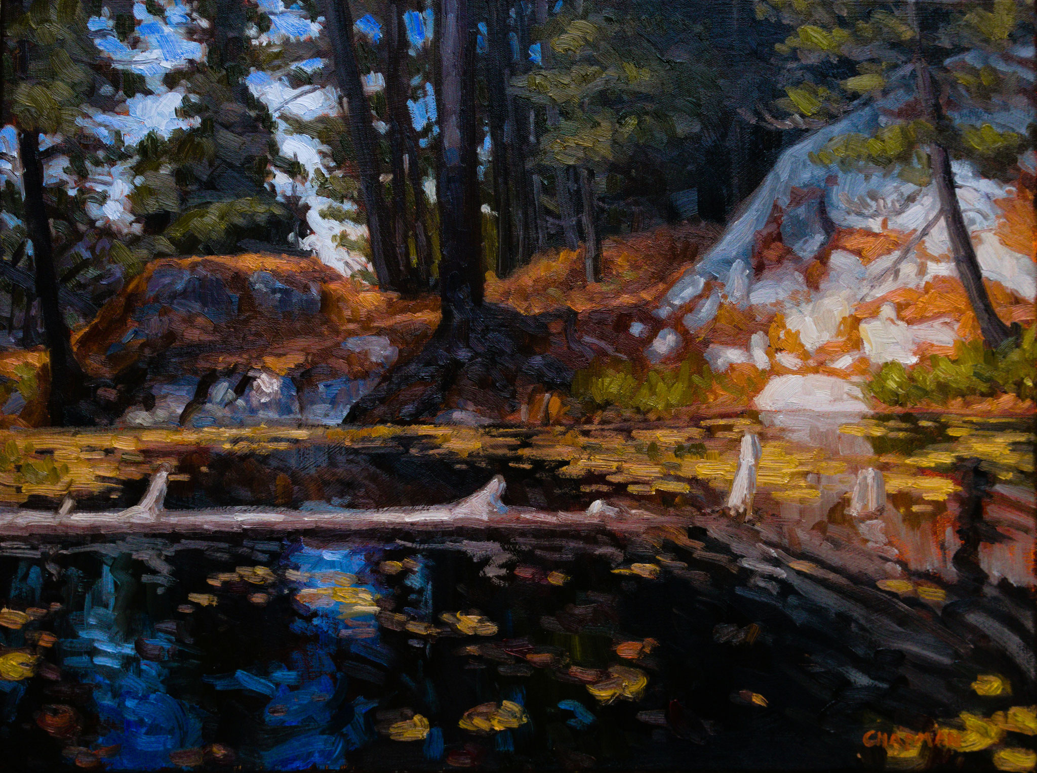 AUTUMN LILLIES 18 x 24 oil