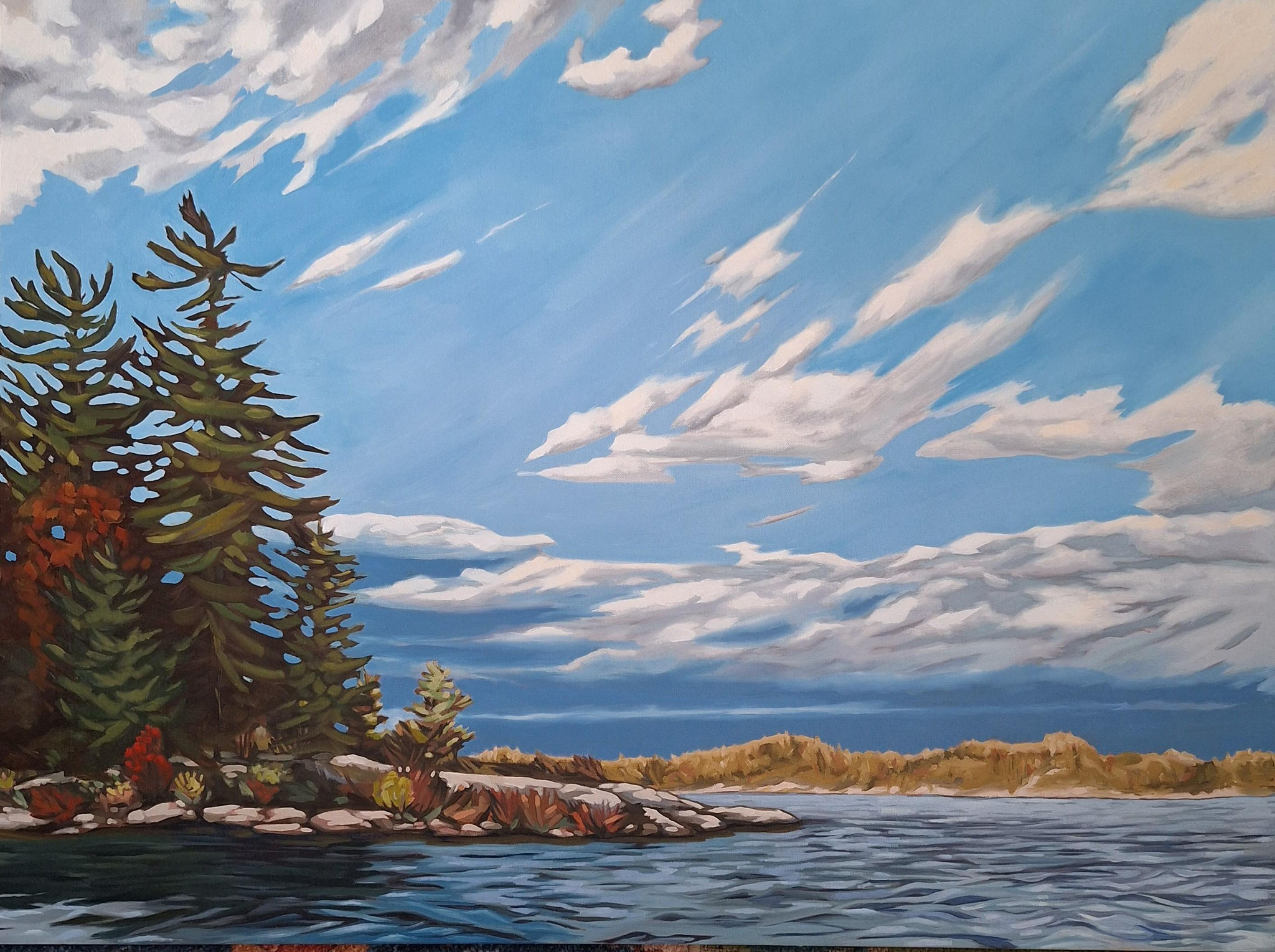 BLOWN AWAY  30 × 40 oil on canvas by Jules Crowley