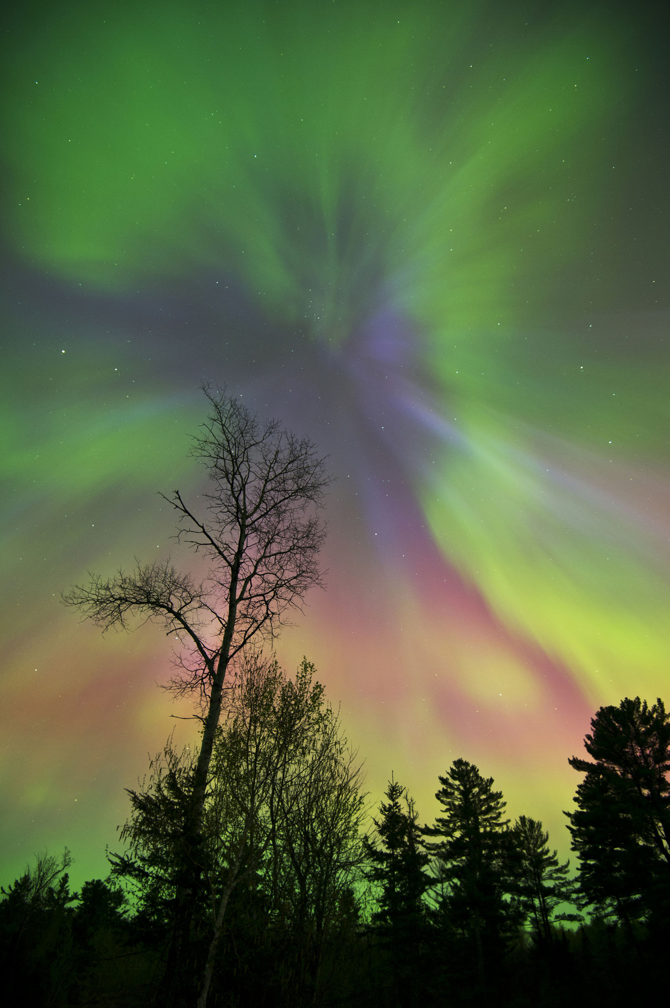 NORTHERN LIGHTS 36 x 24 photo on canvas