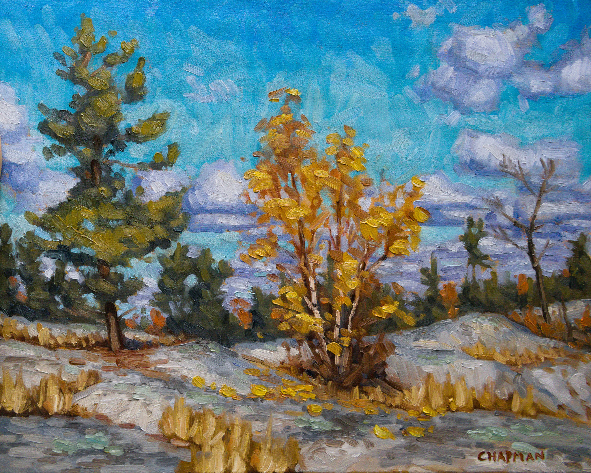 AUTUMN ON THE HILL 16 x 20 oil 