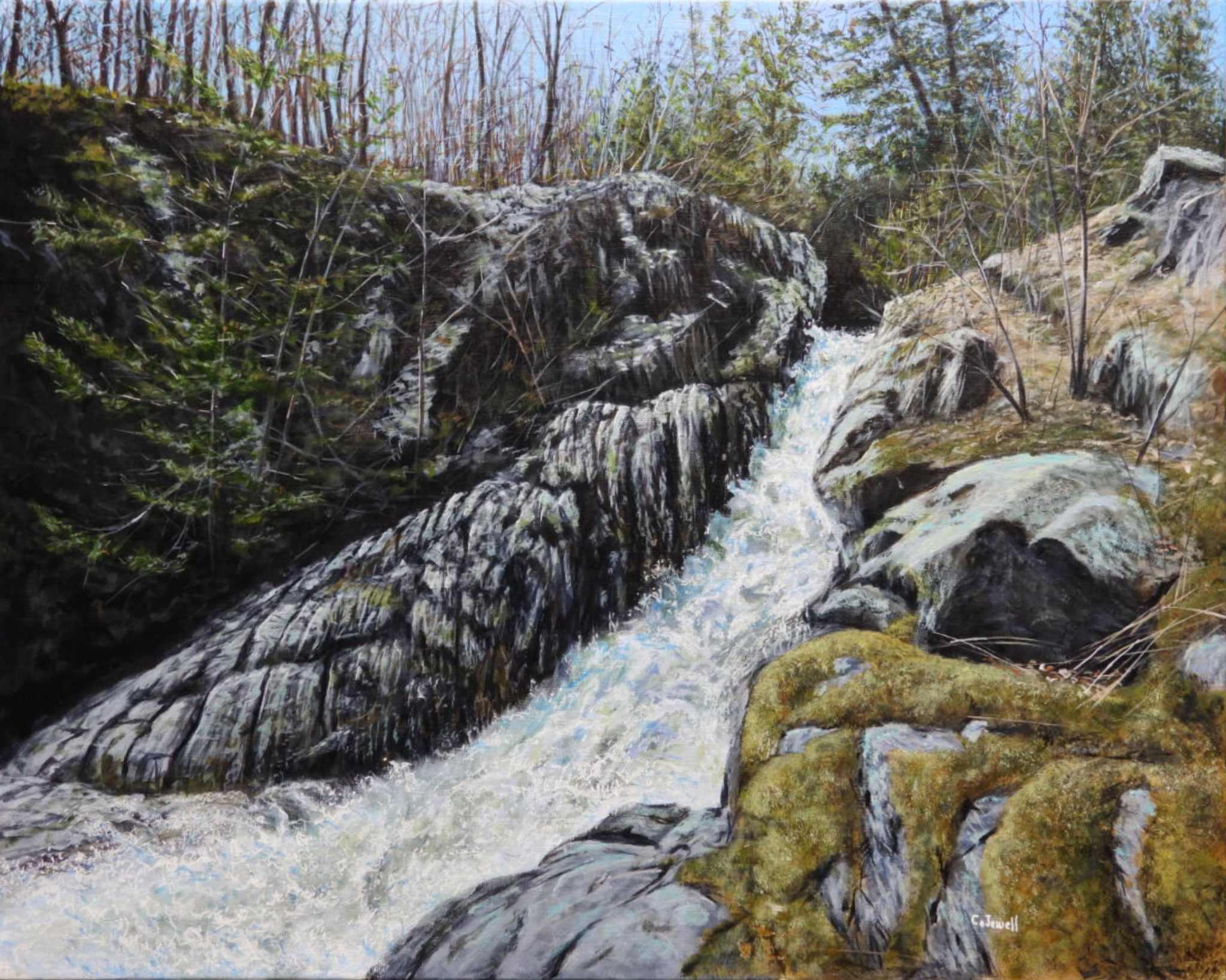 SPRINGTIME ROAR 18 x 24 acrylic by Cliff Jewell 
