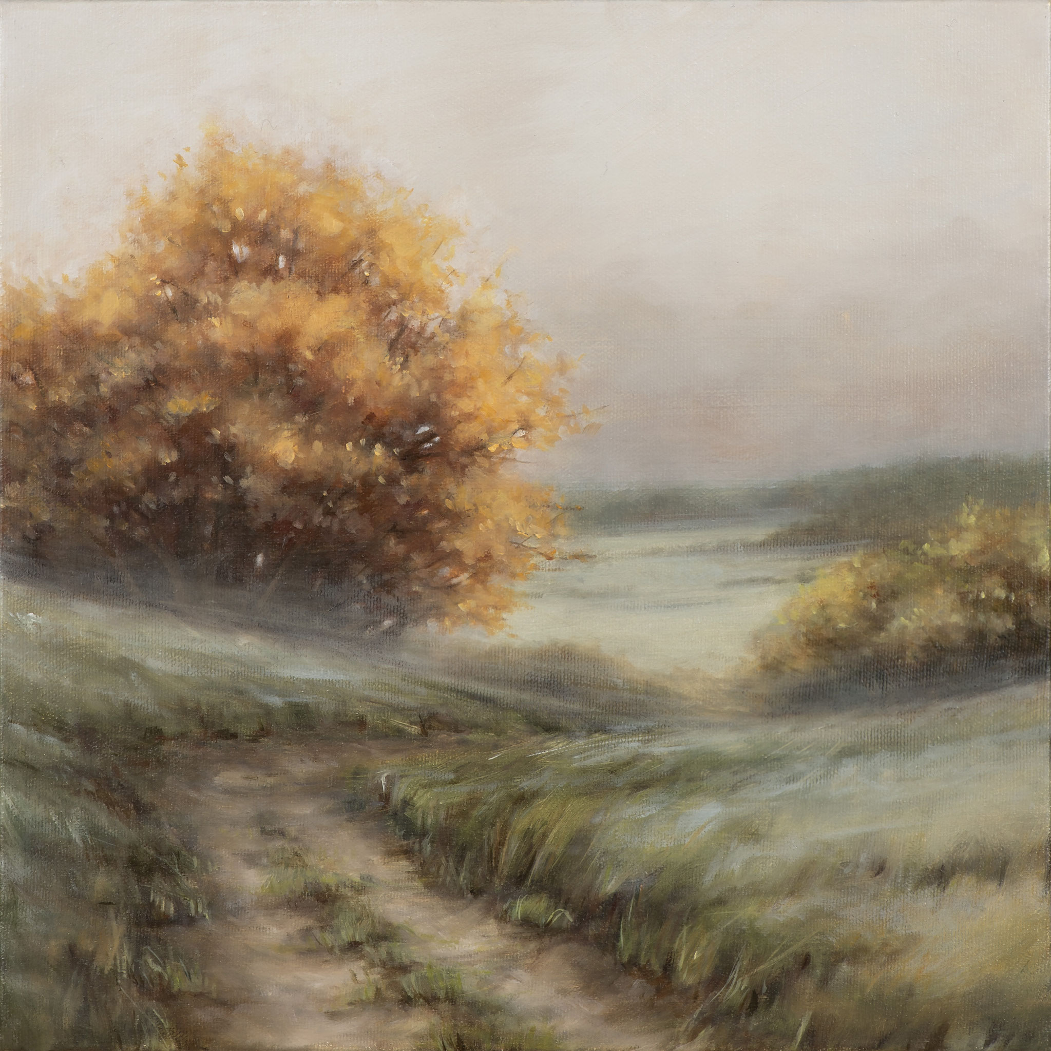 AUTUMN MIST 12 x 12 oil on canvas
