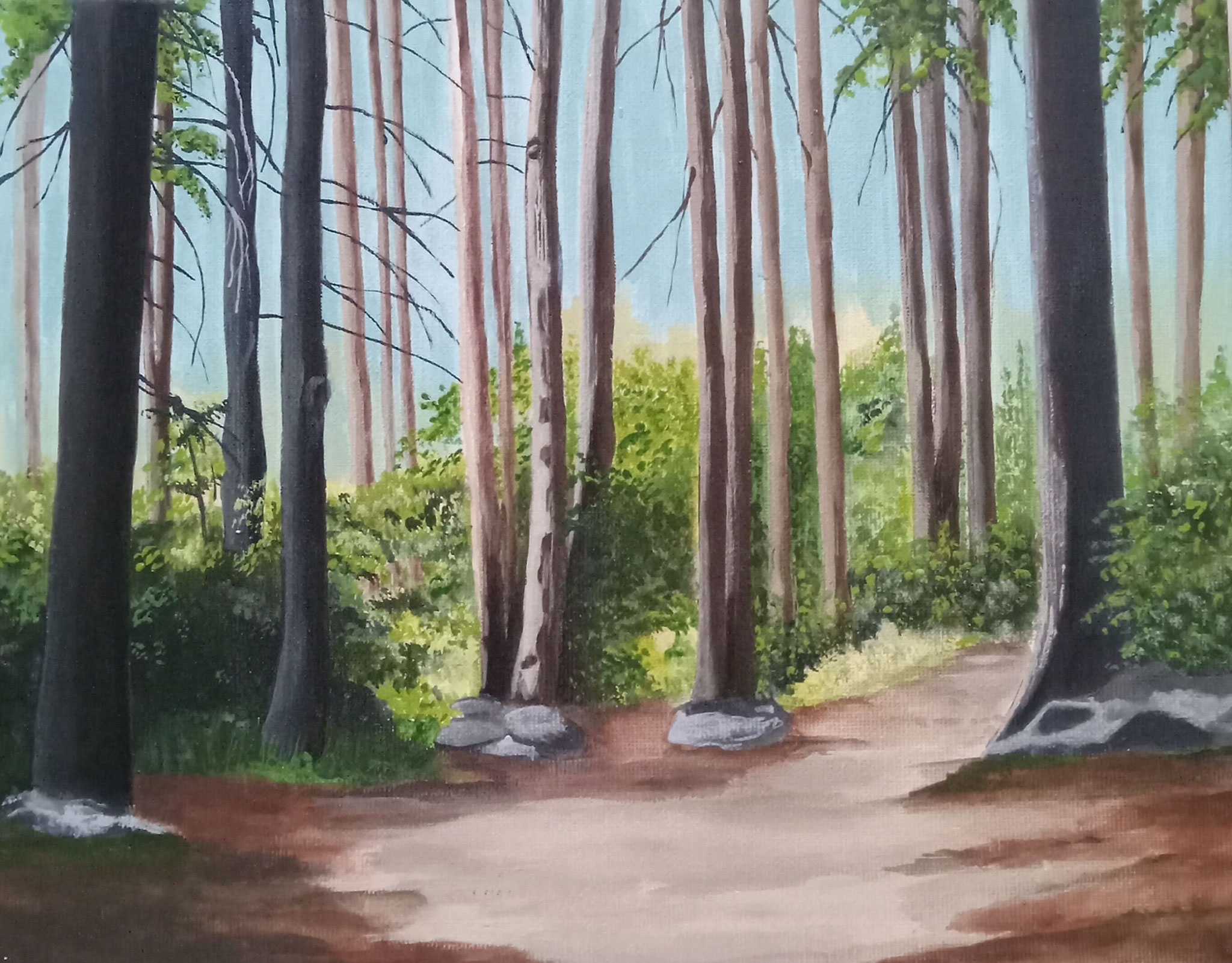 FOREST TRAIL 12 x 9 acrylic by Danielle LeCorvez