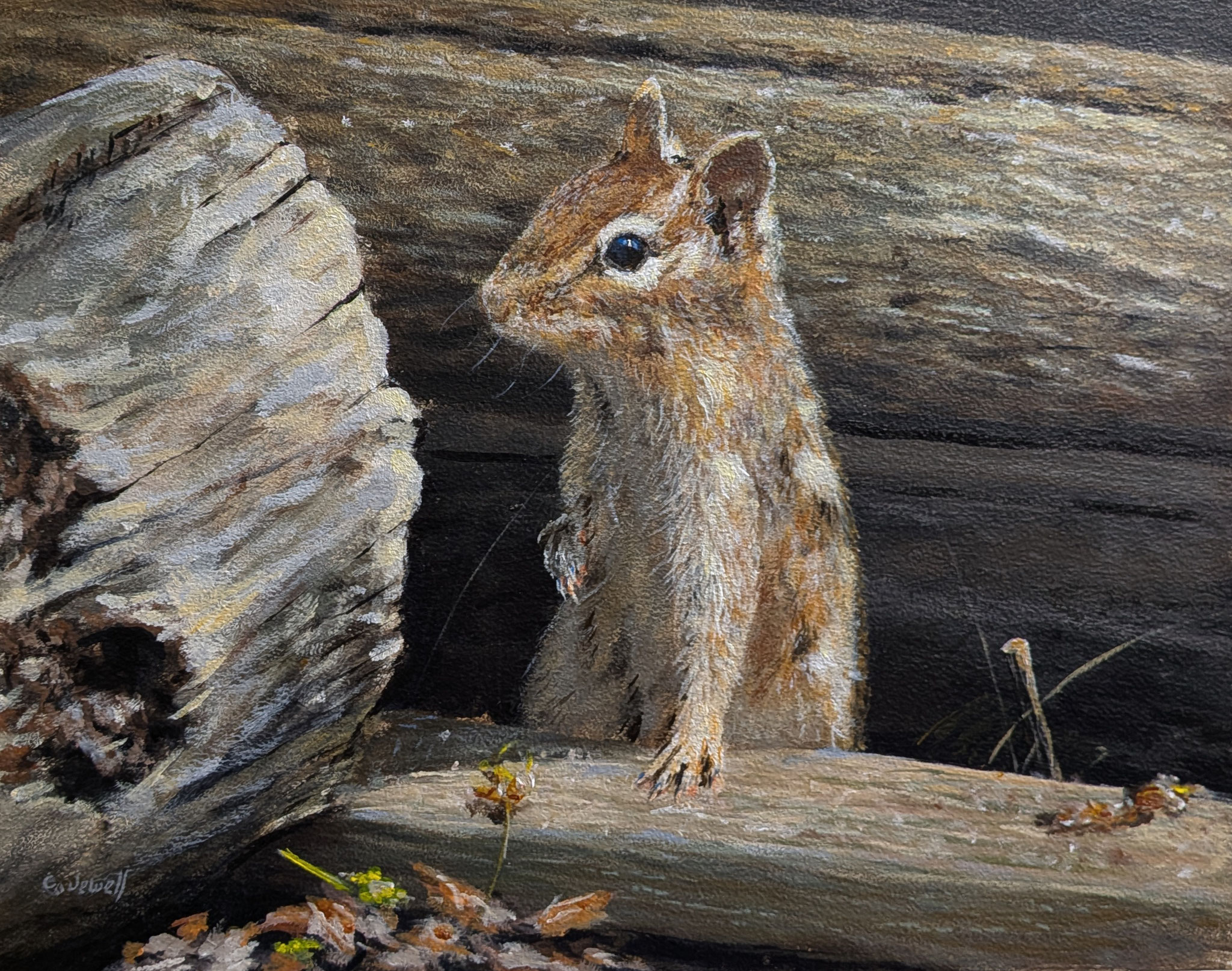 WOOD CHIP 9 x 12 acrylic 