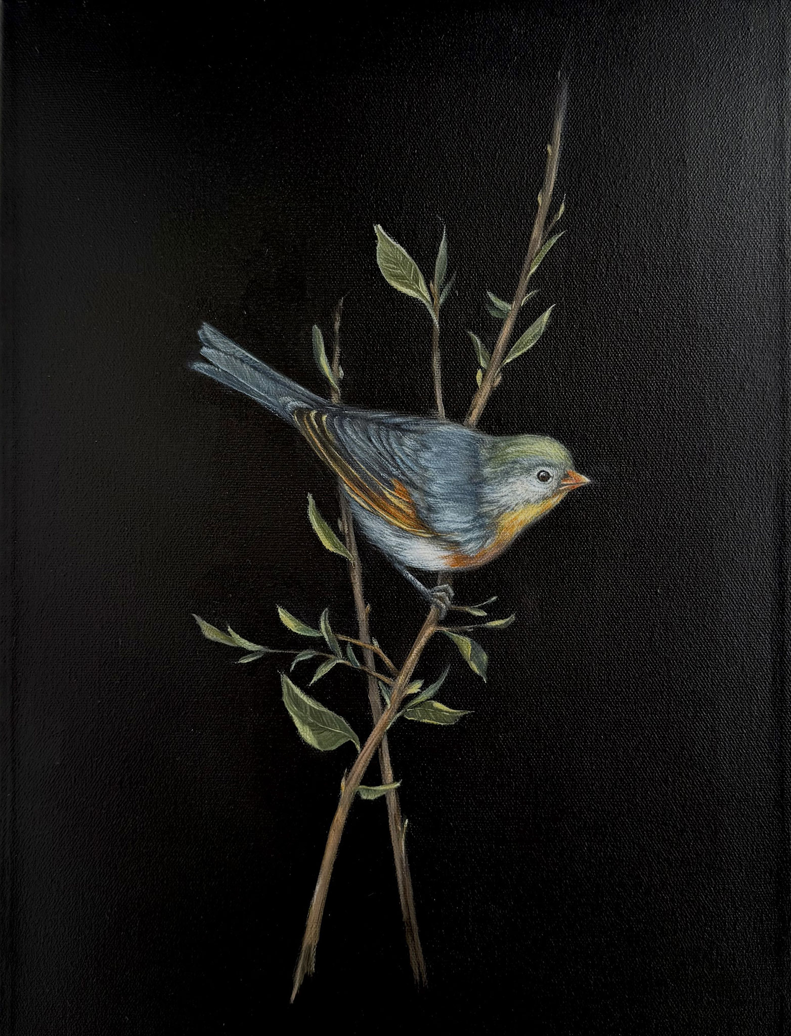 MELODY 12 x 16 oil on canvas 
