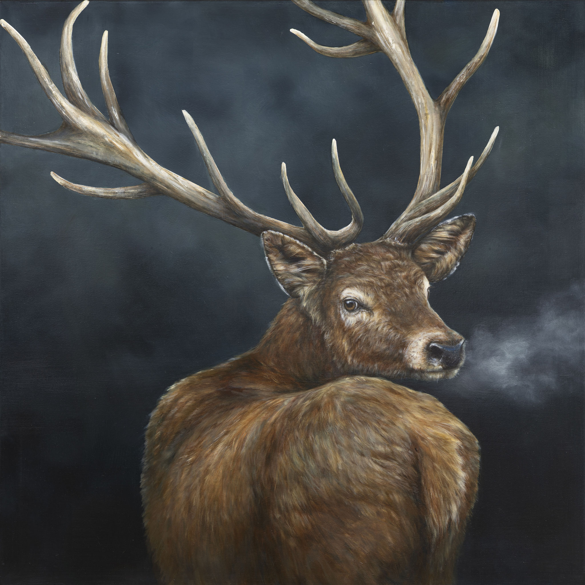 FOREST FOOTSTEPS 30 x 30 oil on canvas by Tammy Shane 