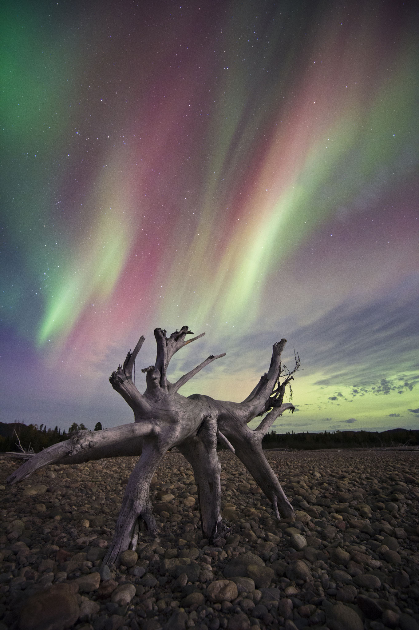 AGAWA BAY AURORA 36 x 24 photo on canvas