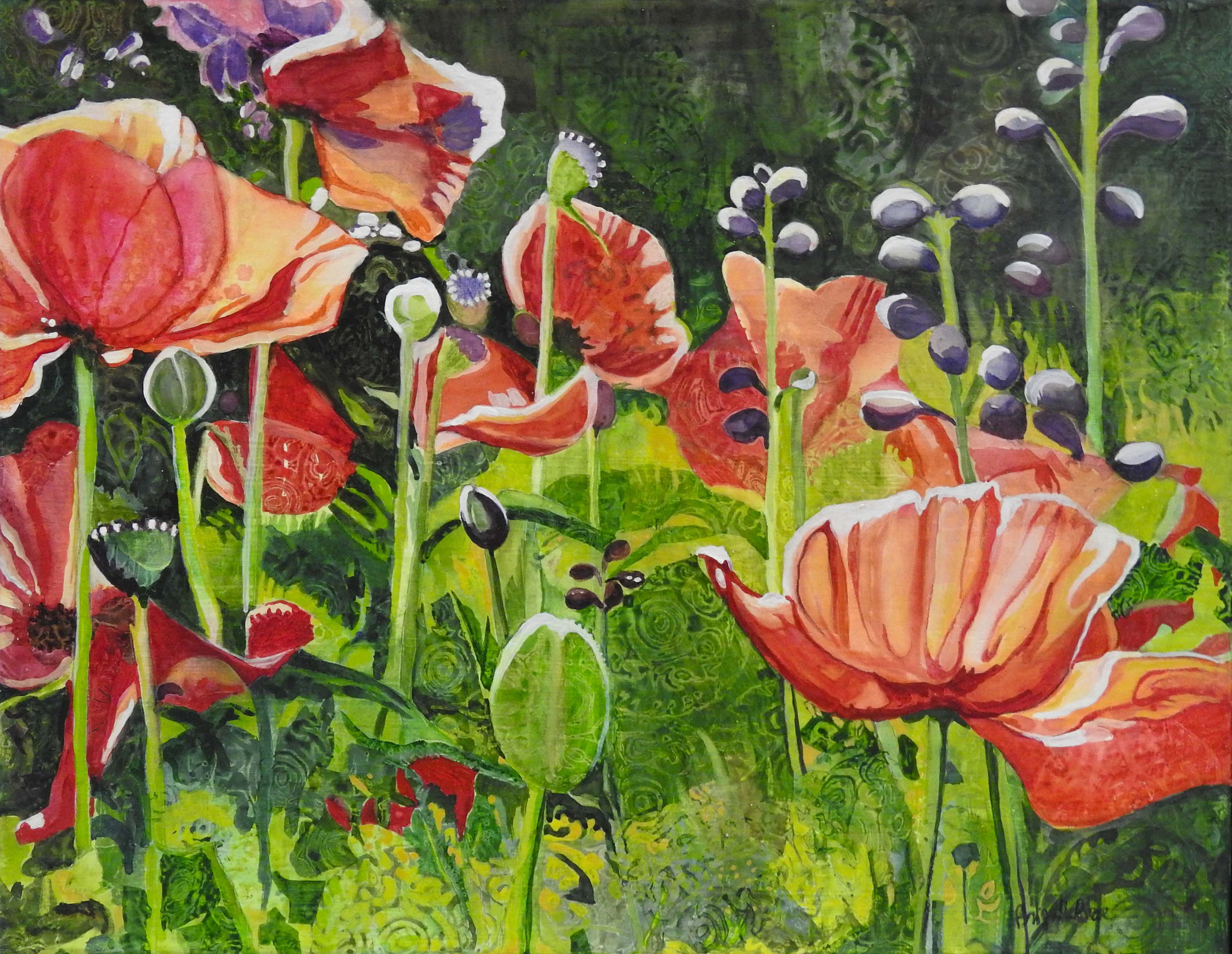 GLOWING POPPIES 15 x 19 watercolour 