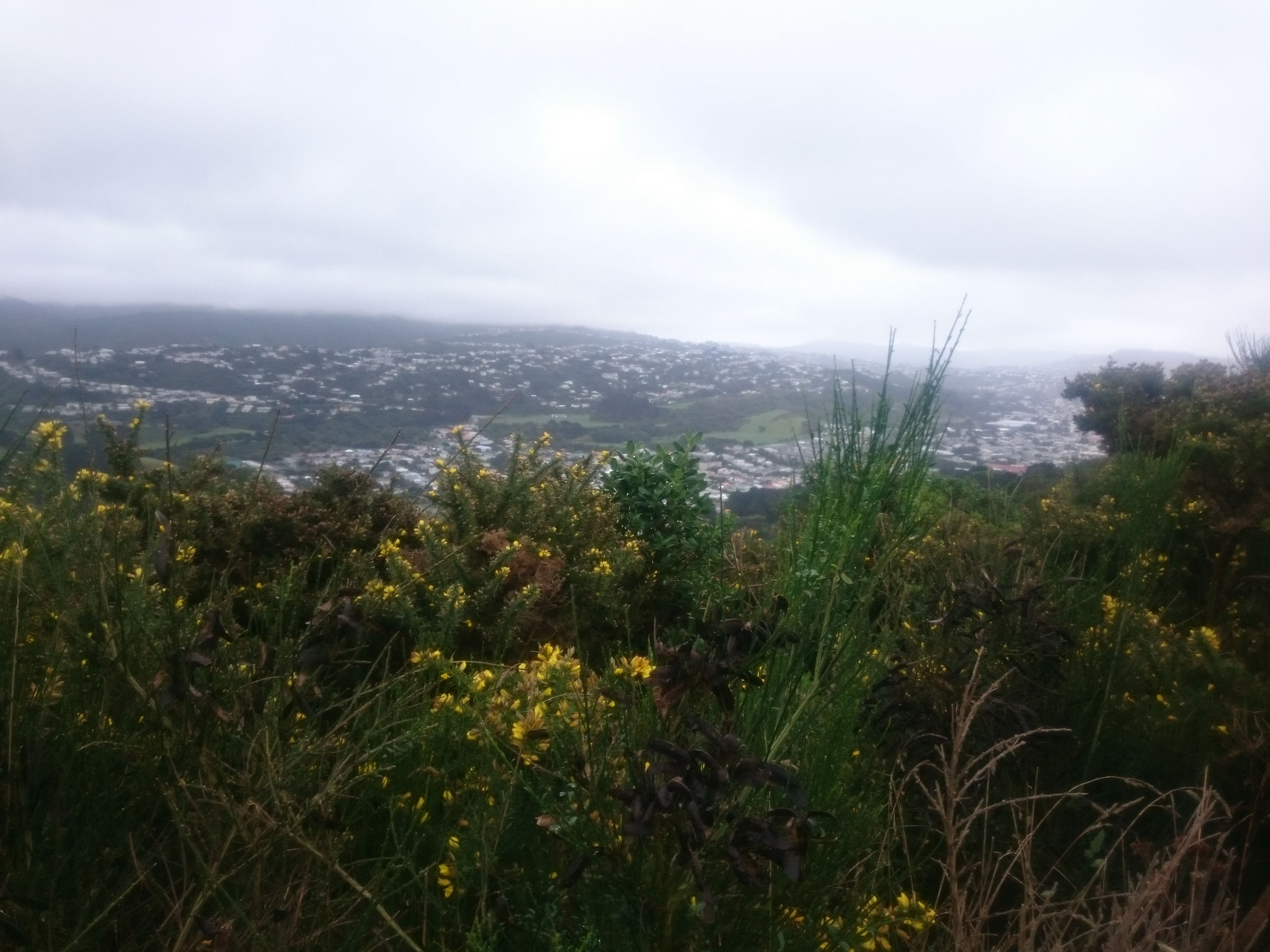 16.4. Blick auf die Stadt