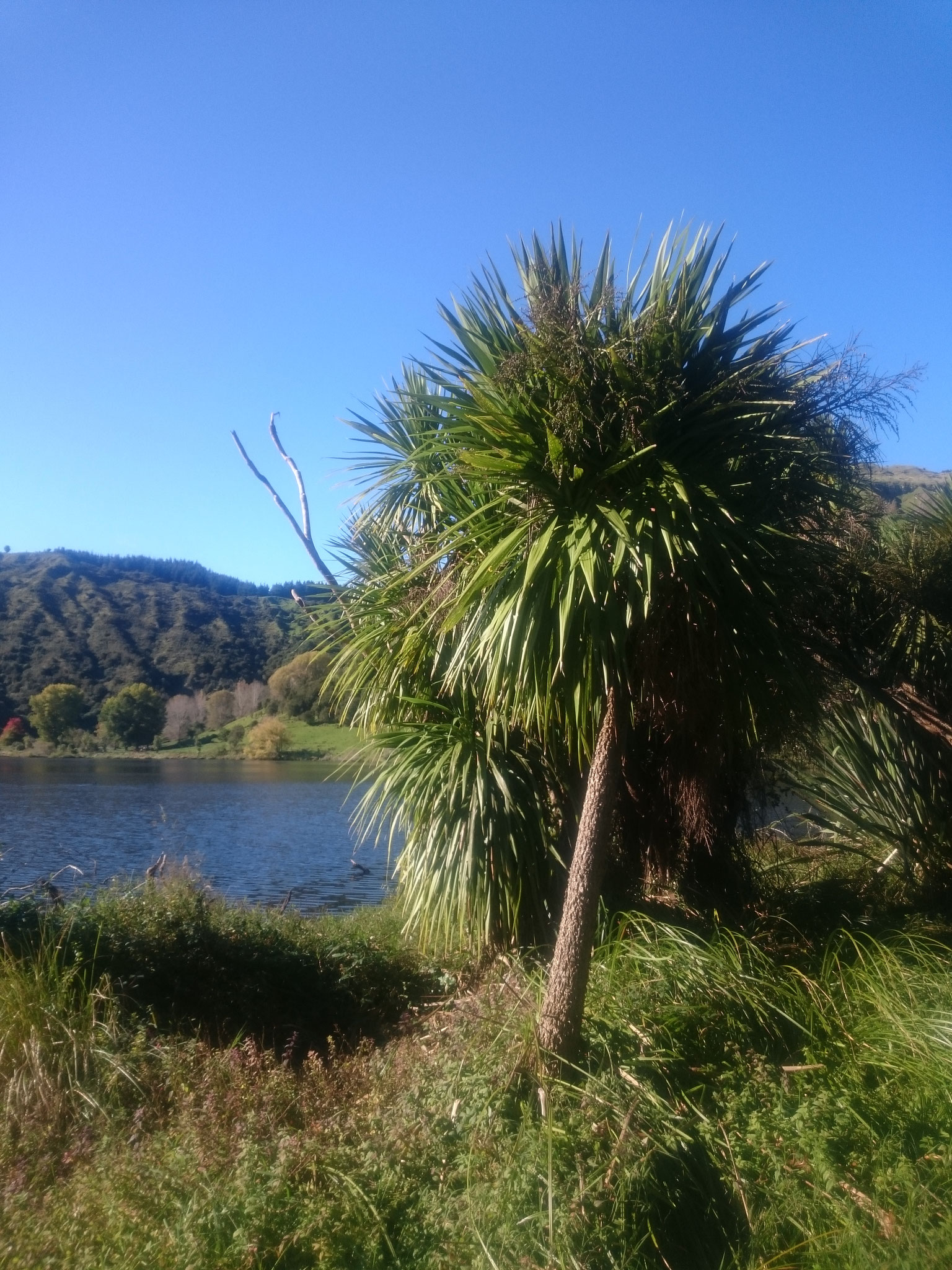 2.5. Boxenstopp am Lake Waikopiro