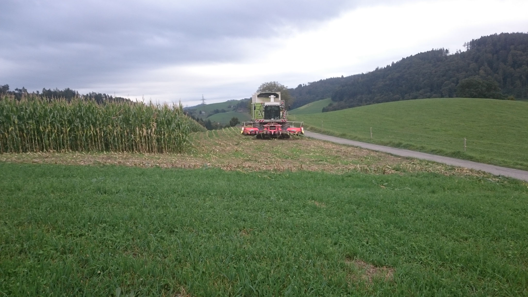 Bunkerhäcksler