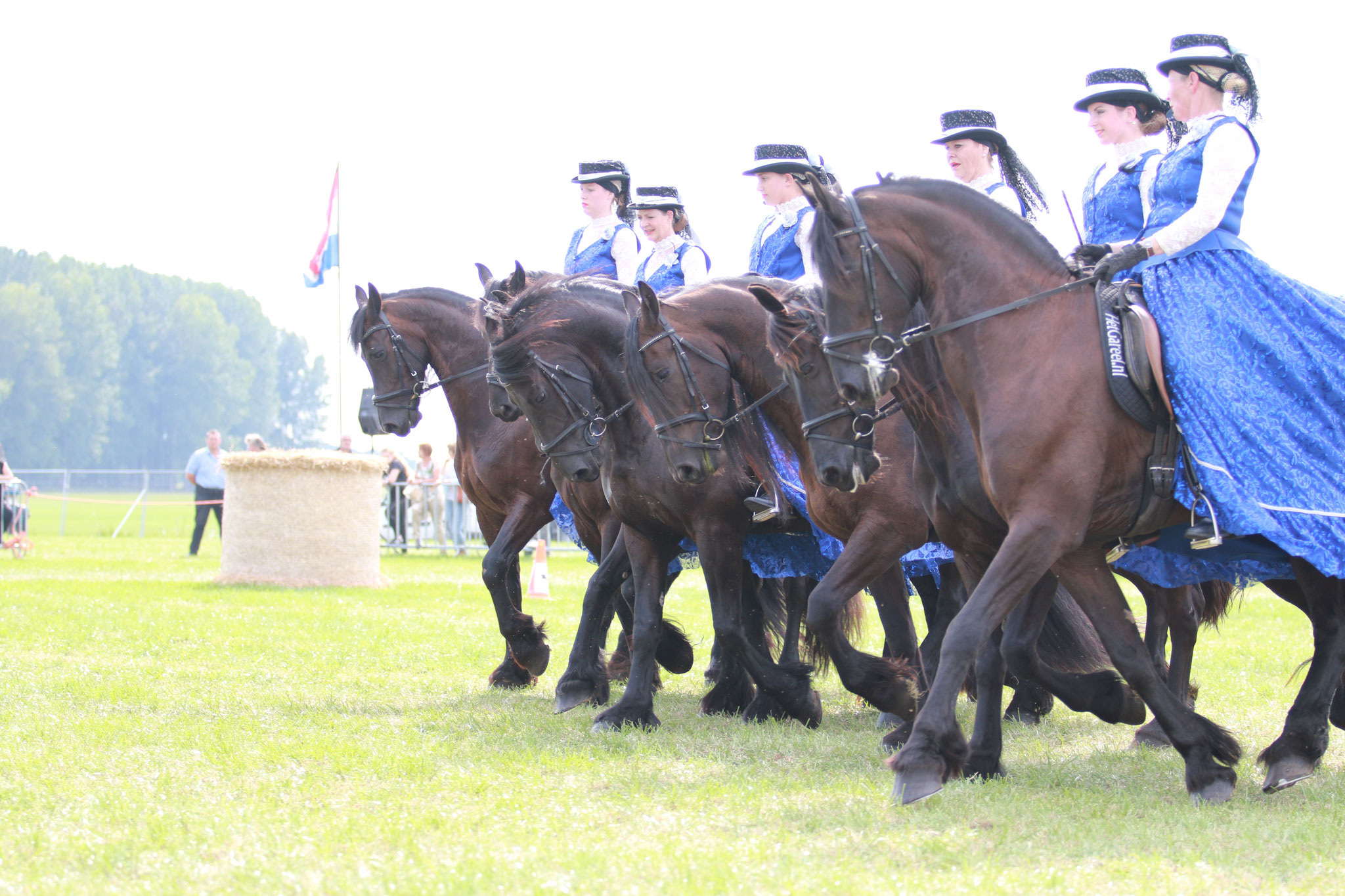 Show Streekdagen Almkerk-Meeuwen 2016