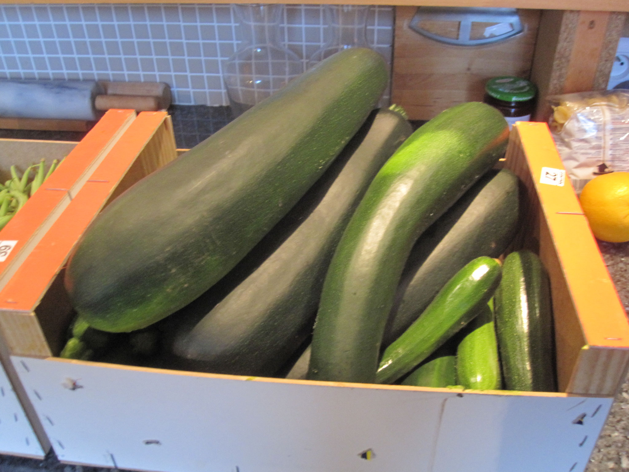 Courgettes de jardin.