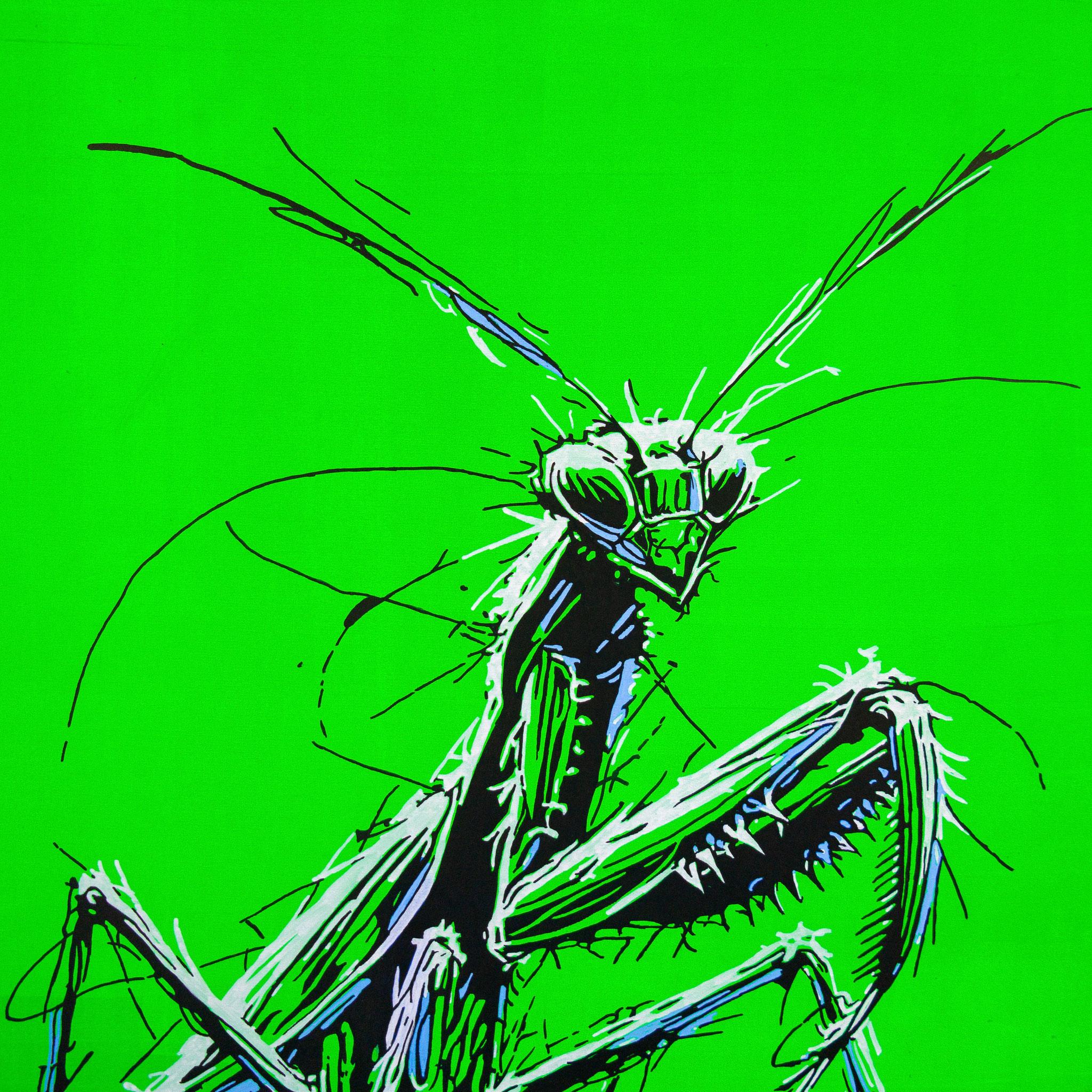 Nahaufnahme - "YOU'RE MY DESSERT, HONEY" -  Künstler Martin Lingens - WILD SKETCHES Serie - Gottesanbeterin