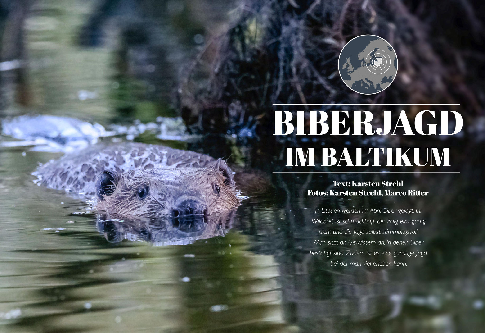 teilweise Bebilderung inkl. Leitbild des Artikels "Biberjagd im Baltikum" in Jagdzeit International Nr. 34 (01/2018)