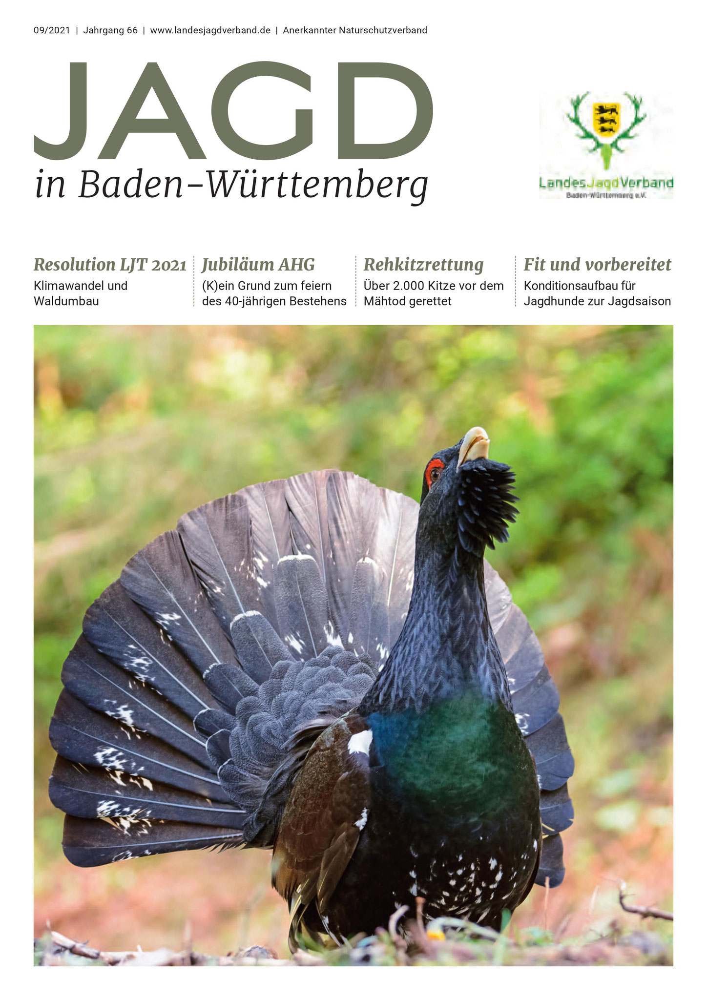Titelseite der Jagd in Baden-Württemberg Nr. 9/2021