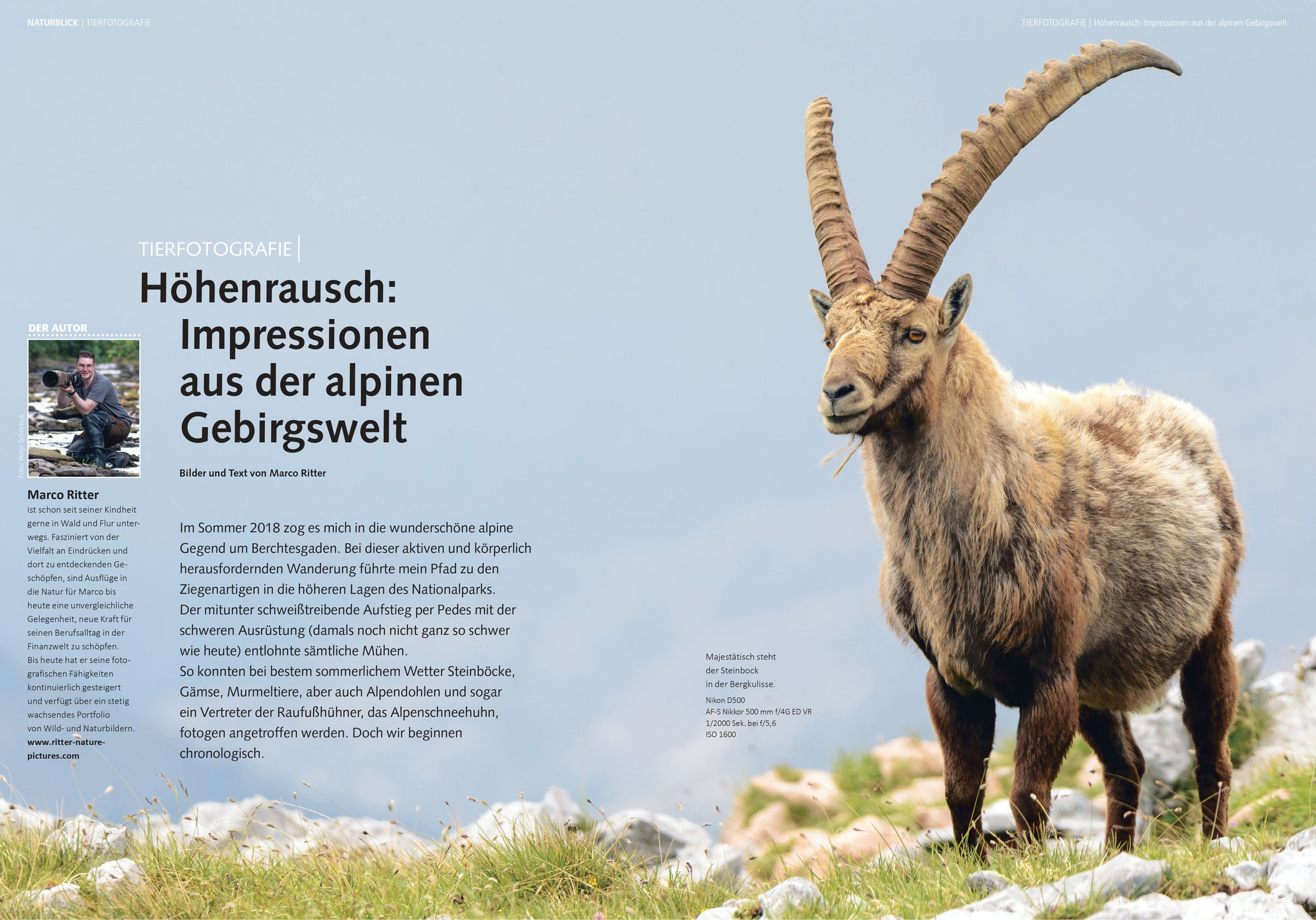 Bebilderung des Artikels "Höhenrausch: Impressionen aus der alpinen Gebirgswelt " in Naturblick 3/2022