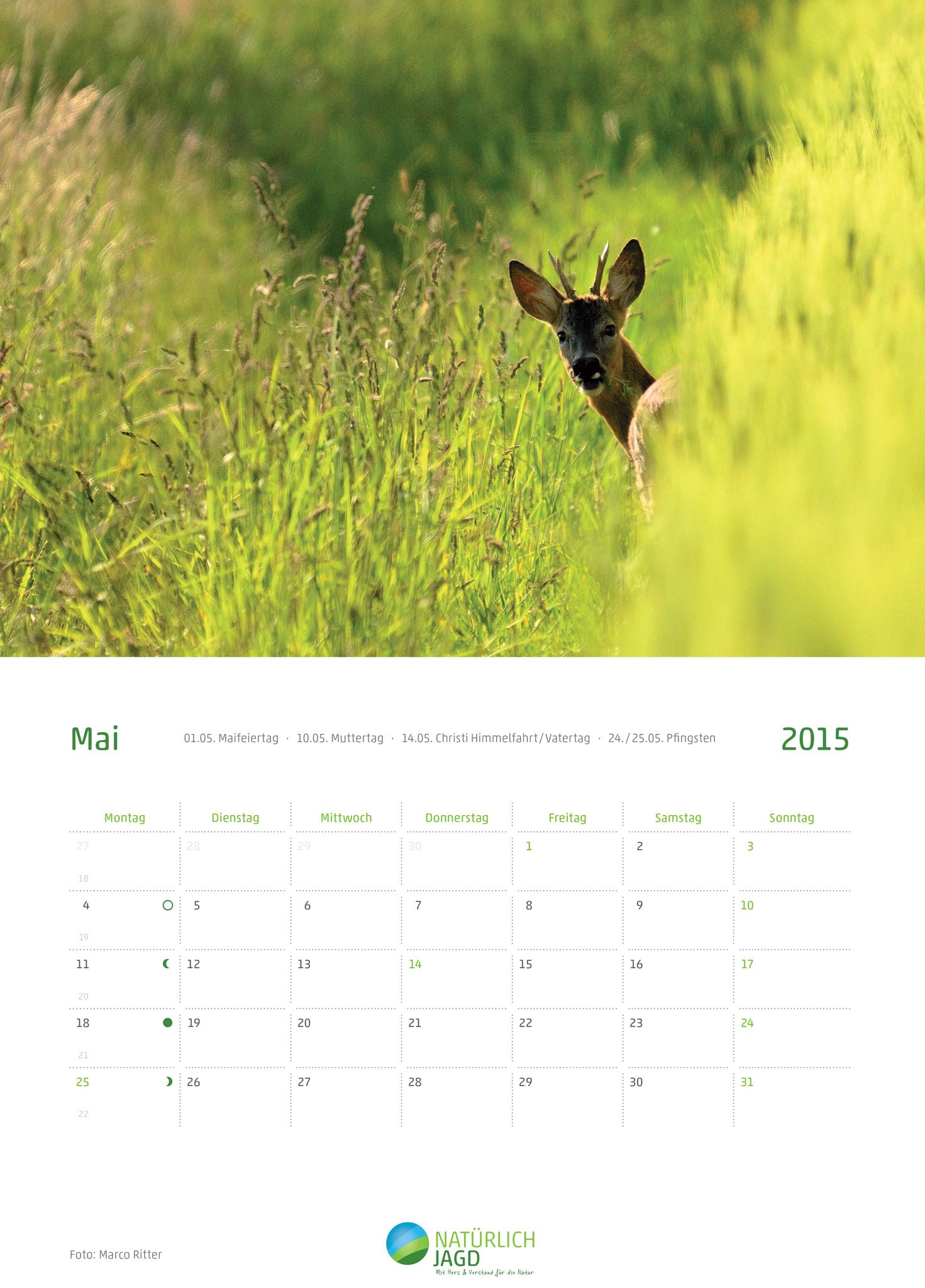 "Natürlich Jagd Fotoreporter" des Monats Mai 2014 der Jägerstiftung natur+mensch
