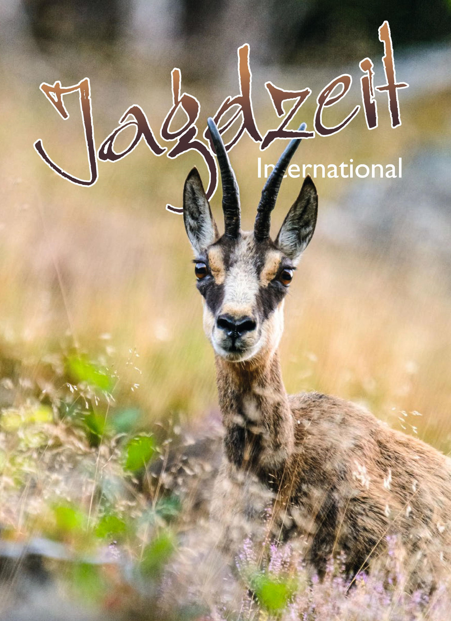 Titelseite der Jagdzeit International Nr. 40 (03/2019)