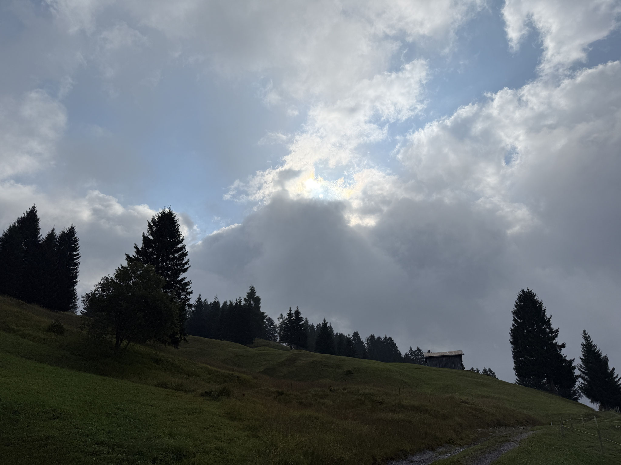 doch die Sonne kämpft