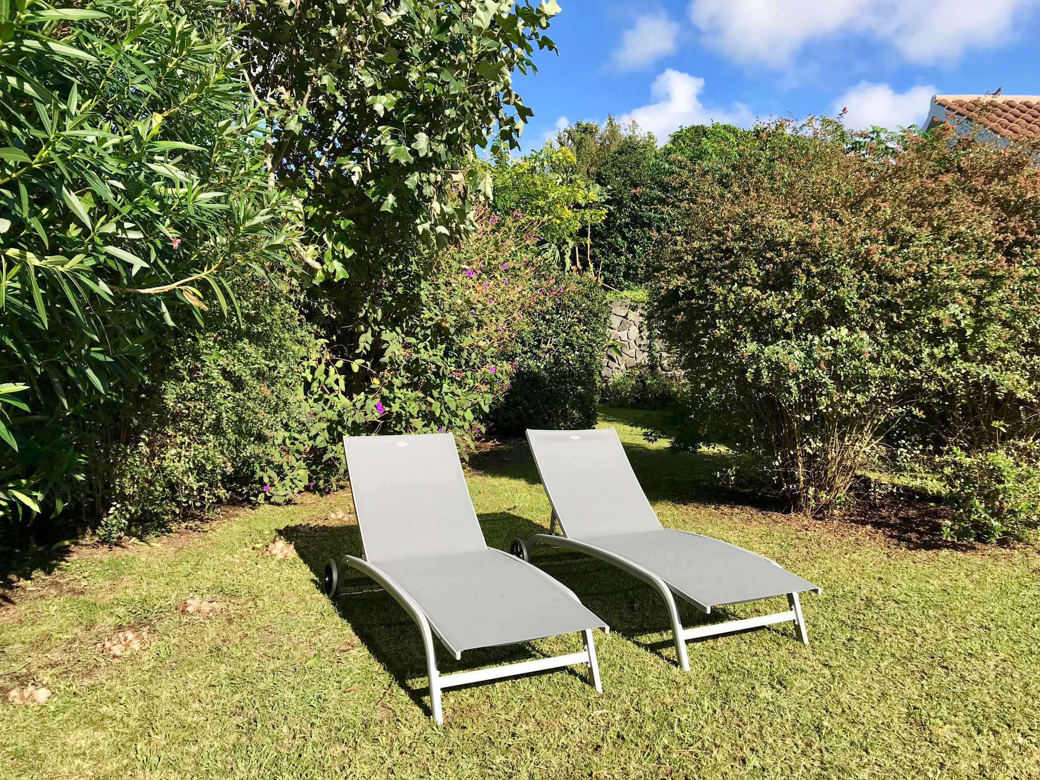 Garten Andrea Kilians Webseite