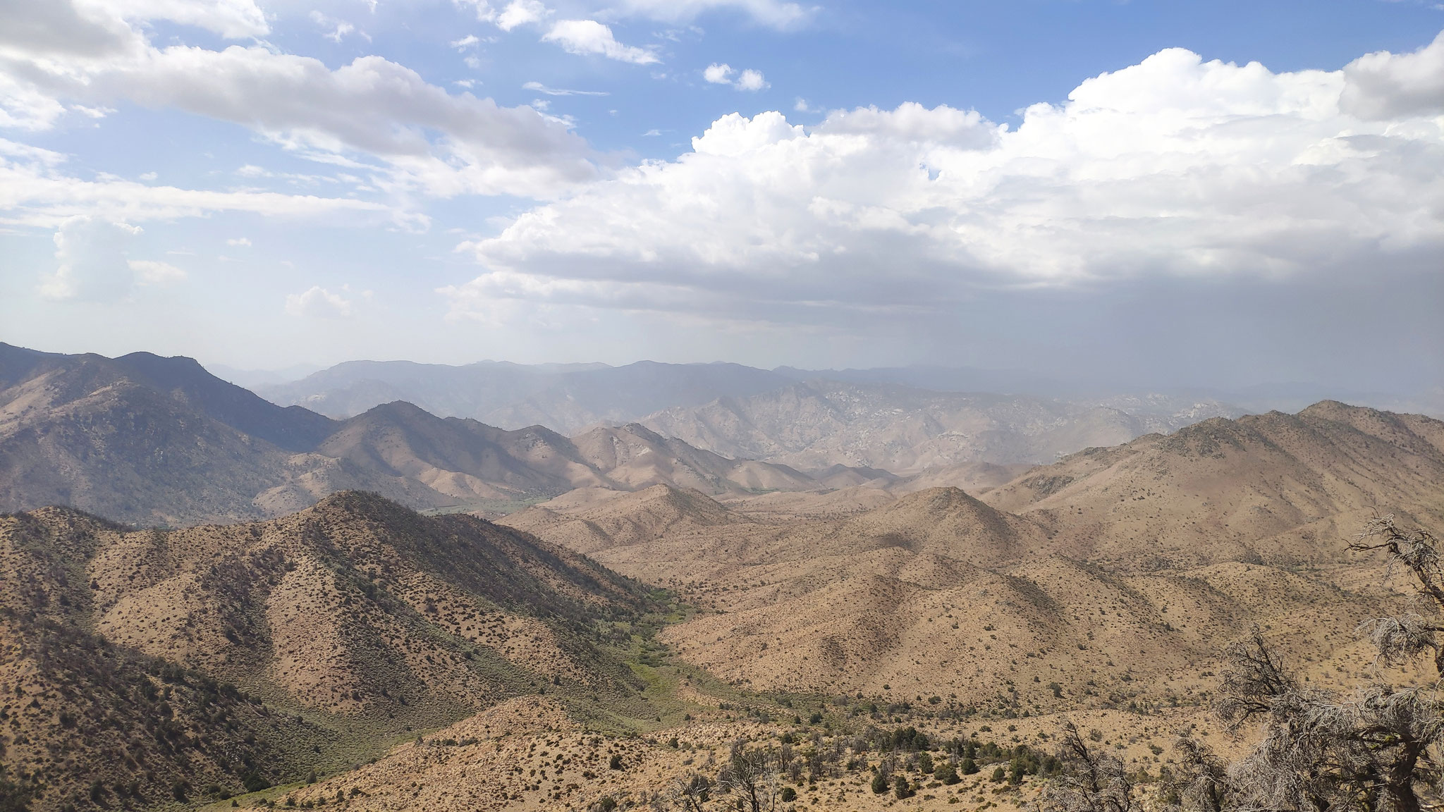 Mojave Desert, Southern California